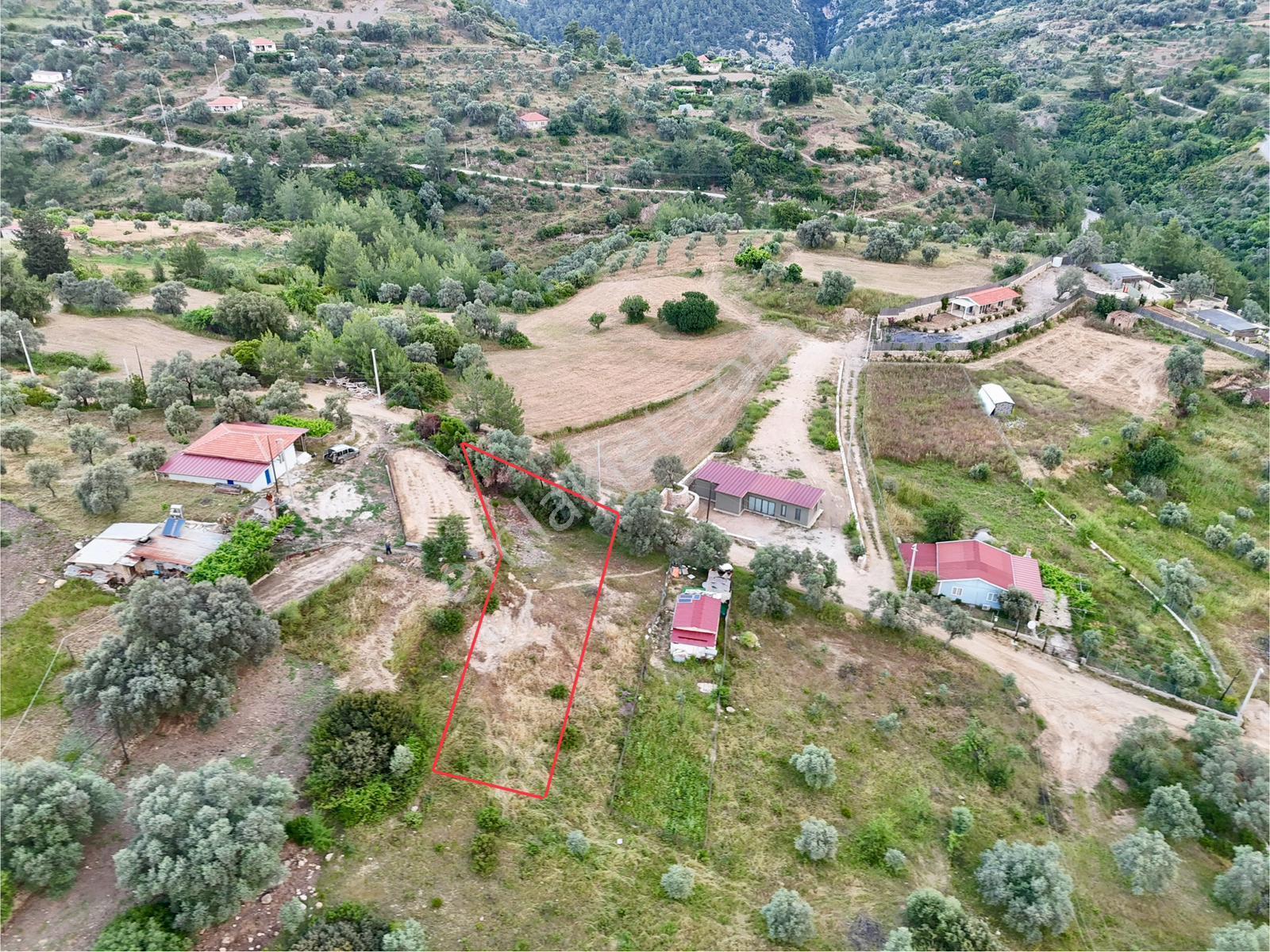 Gökova’ya Yakın Zeytinköy’de 450m² Premium Doğa Tarlası - Görsel 2