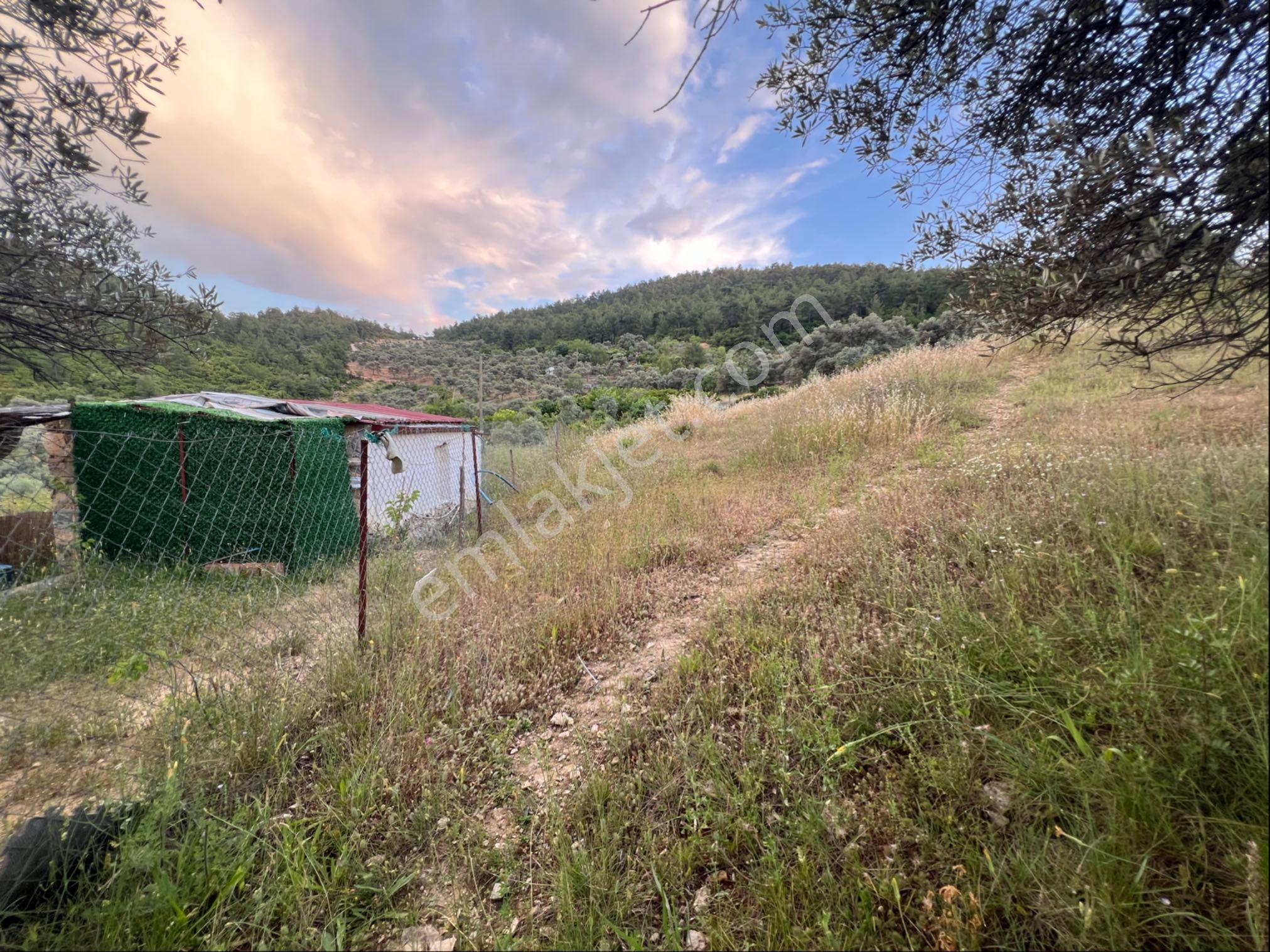 Gökova’ya Yakın Zeytinköy’de 450m² Premium Doğa Tarlası - Görsel 8
