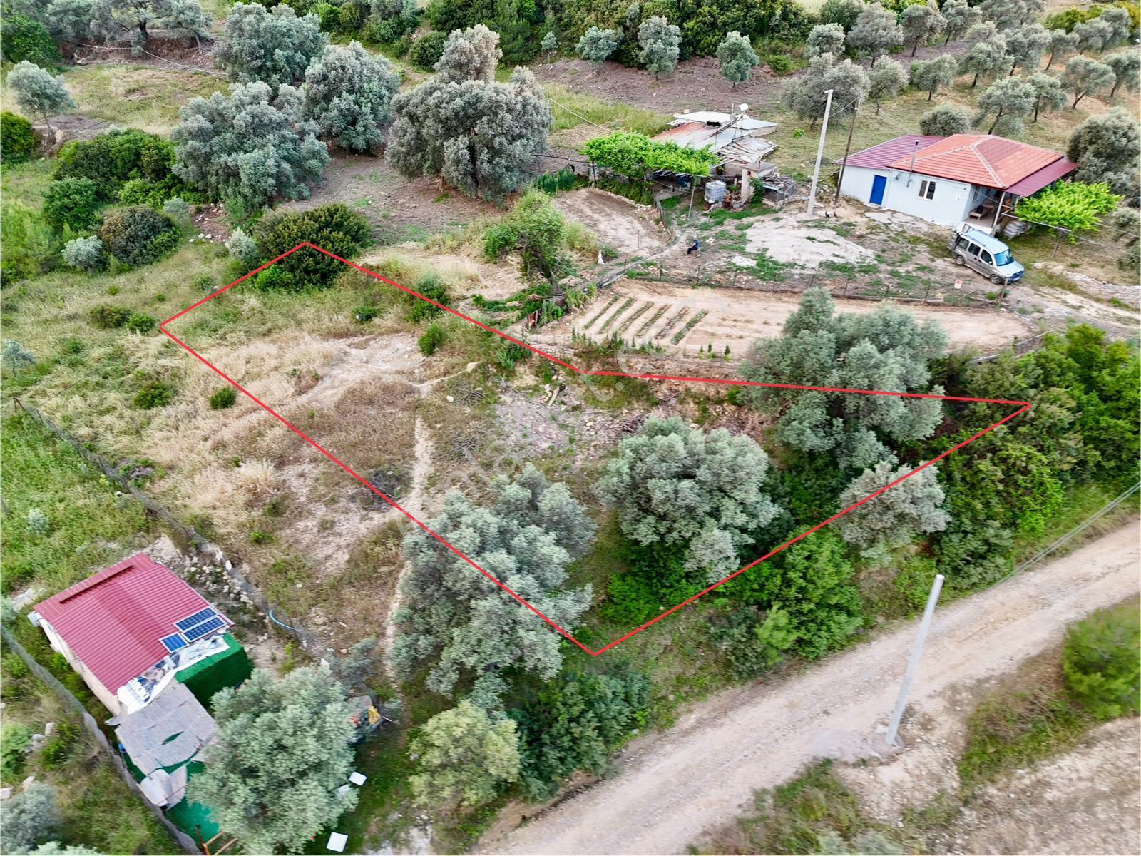 Gökova’ya Yakın Zeytinköy’de 450m² Premium Doğa Tarlası - Görsel 7