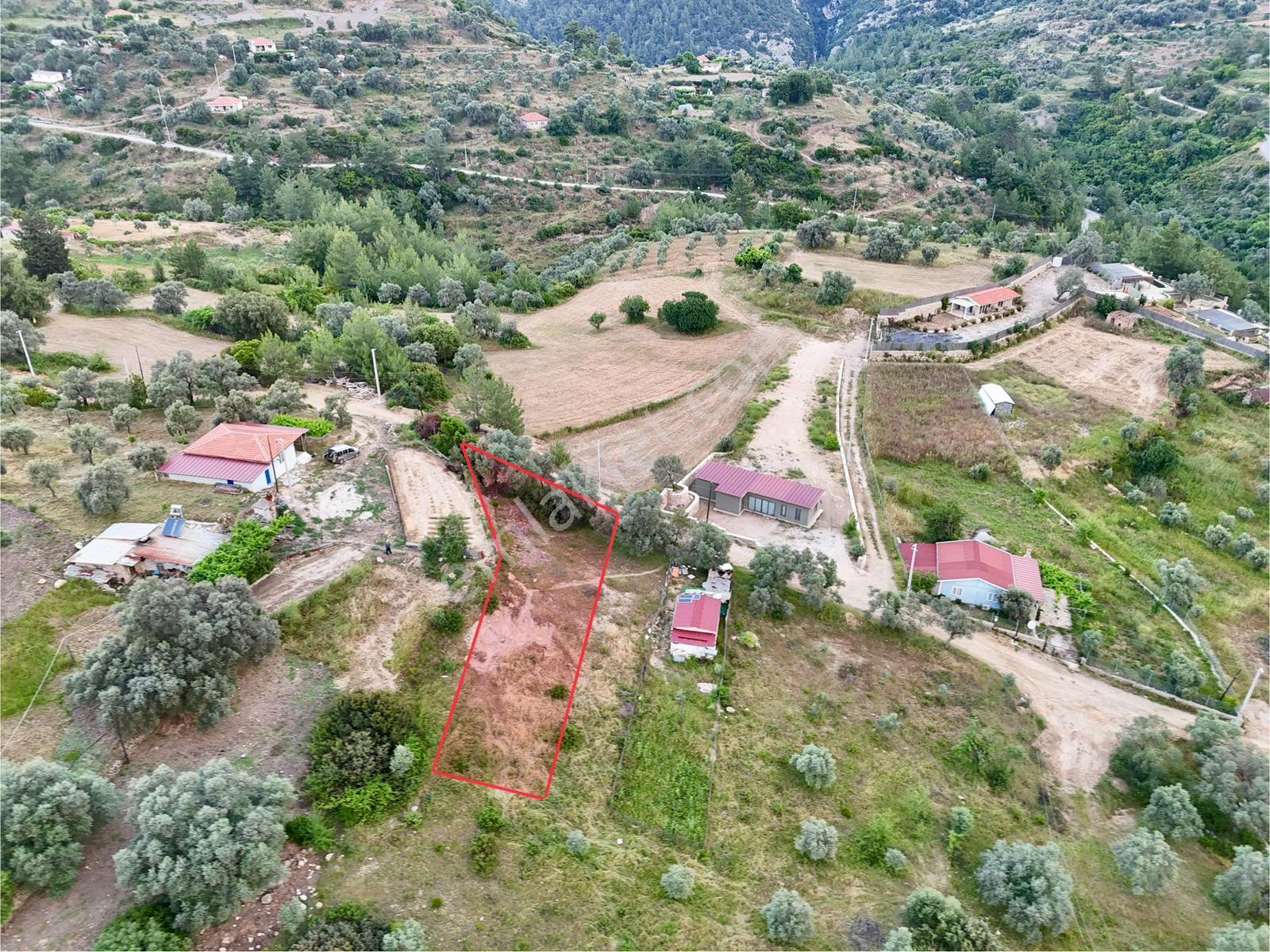 Gökova’ya Yakın Zeytinköy’de 450m² Premium Doğa Tarlası - Görsel 3