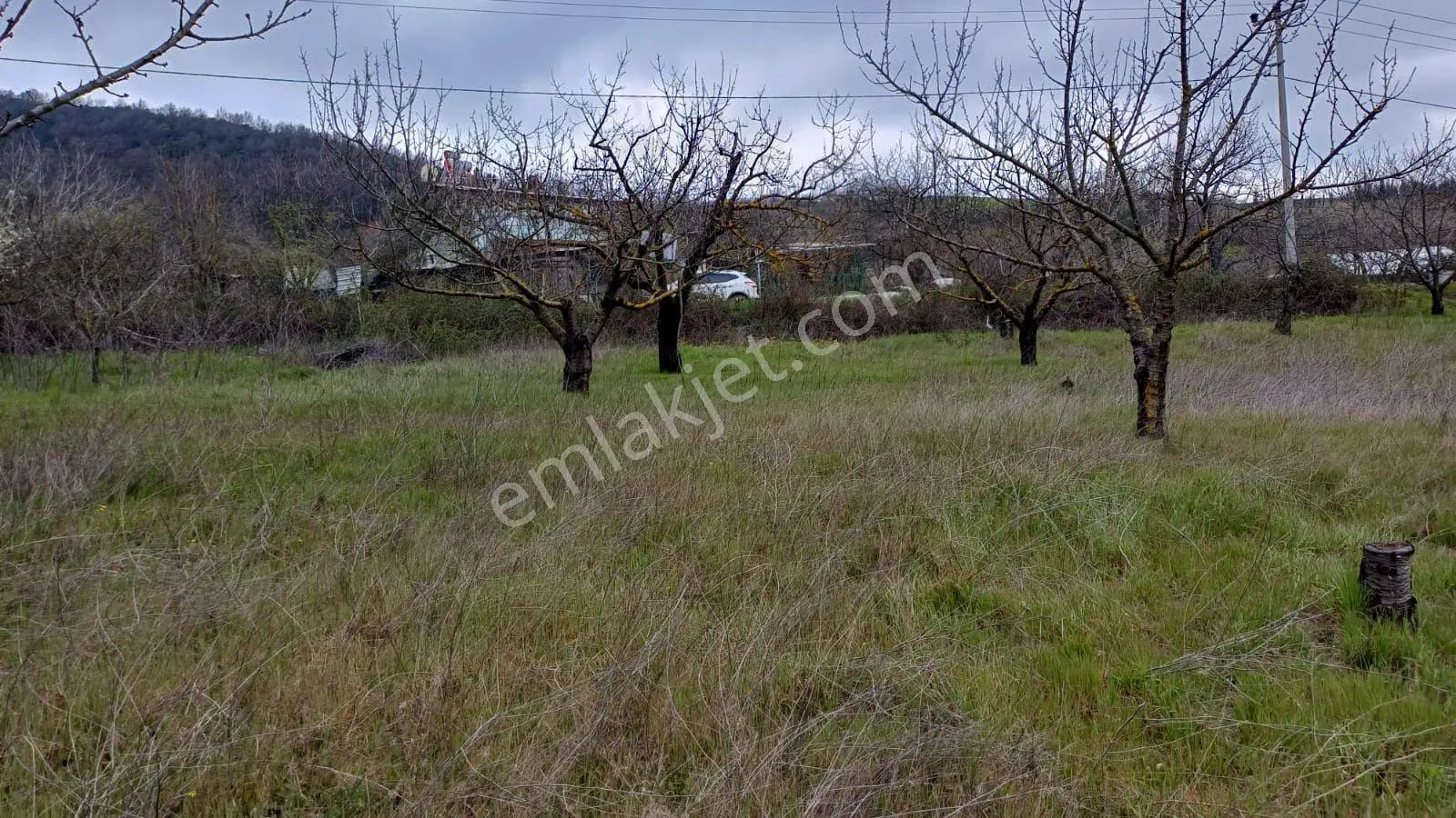 Uzmanlar'dan Akçat 1164 M2 Satılık %5 İmarlı Meyve Bahçesi - Görsel 3