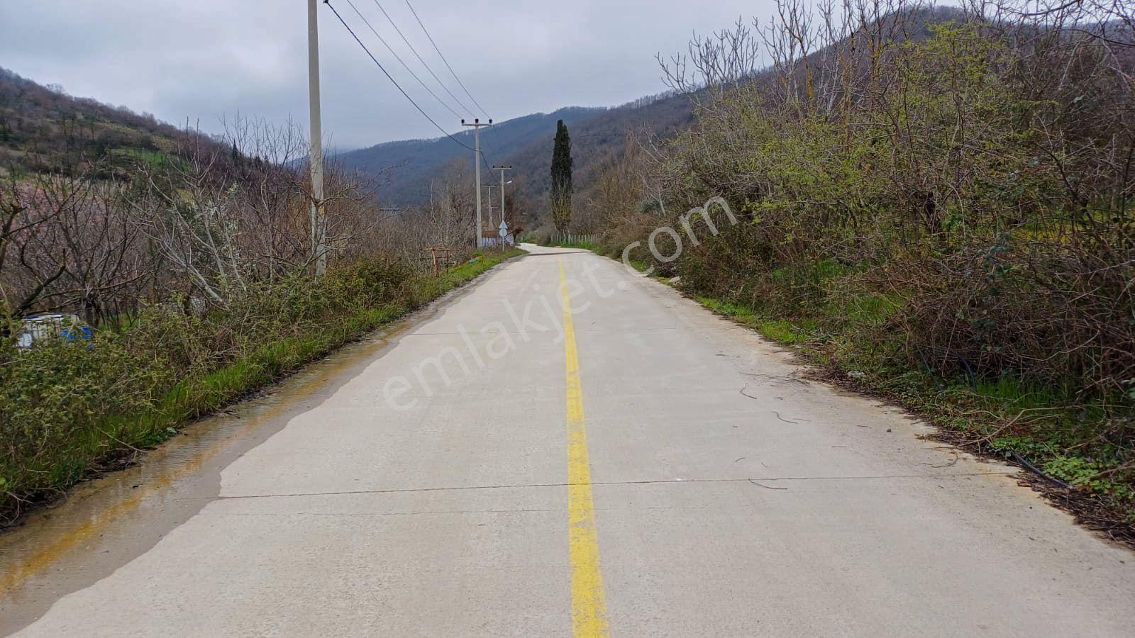 Uzmanlar'dan Akçat 1164 M2 Satılık %5 İmarlı Meyve Bahçesi - Görsel 11