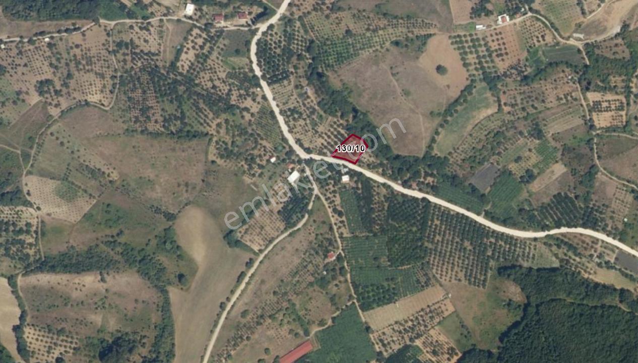 Uzmanlar'dan Akçat 1164 M2 Satılık %5 İmarlı Meyve Bahçesi - Görsel 13