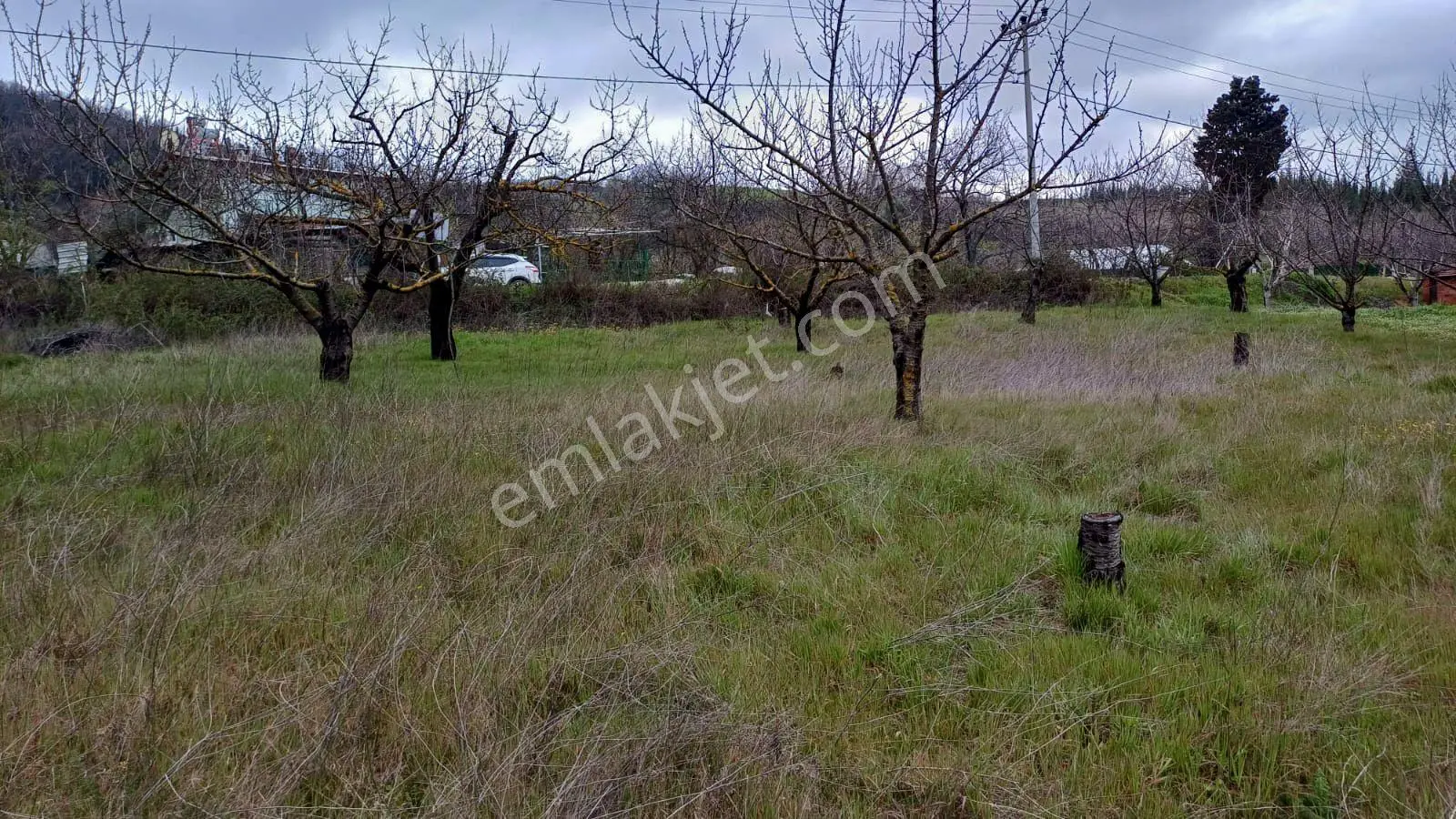 Uzmanlar'dan Akçat 1164 M2 Satılık %5 İmarlı Meyve Bahçesi - Görsel 4