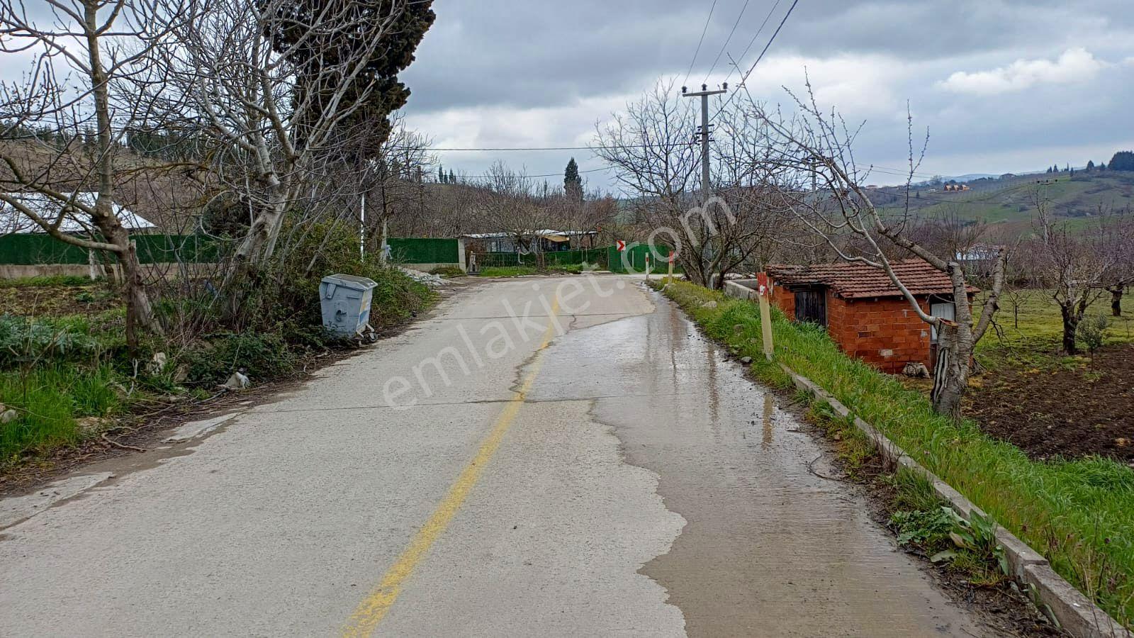 Uzmanlar'dan Akçat 1164 M2 Satılık %5 İmarlı Meyve Bahçesi - Görsel 10