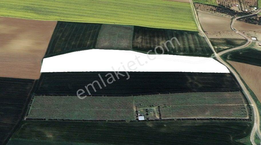 Marmaraereğlisi Dereağzı Mevkinde Tel Örgülü Hobi Bahçesine Uygun 322 M² - Görsel 3