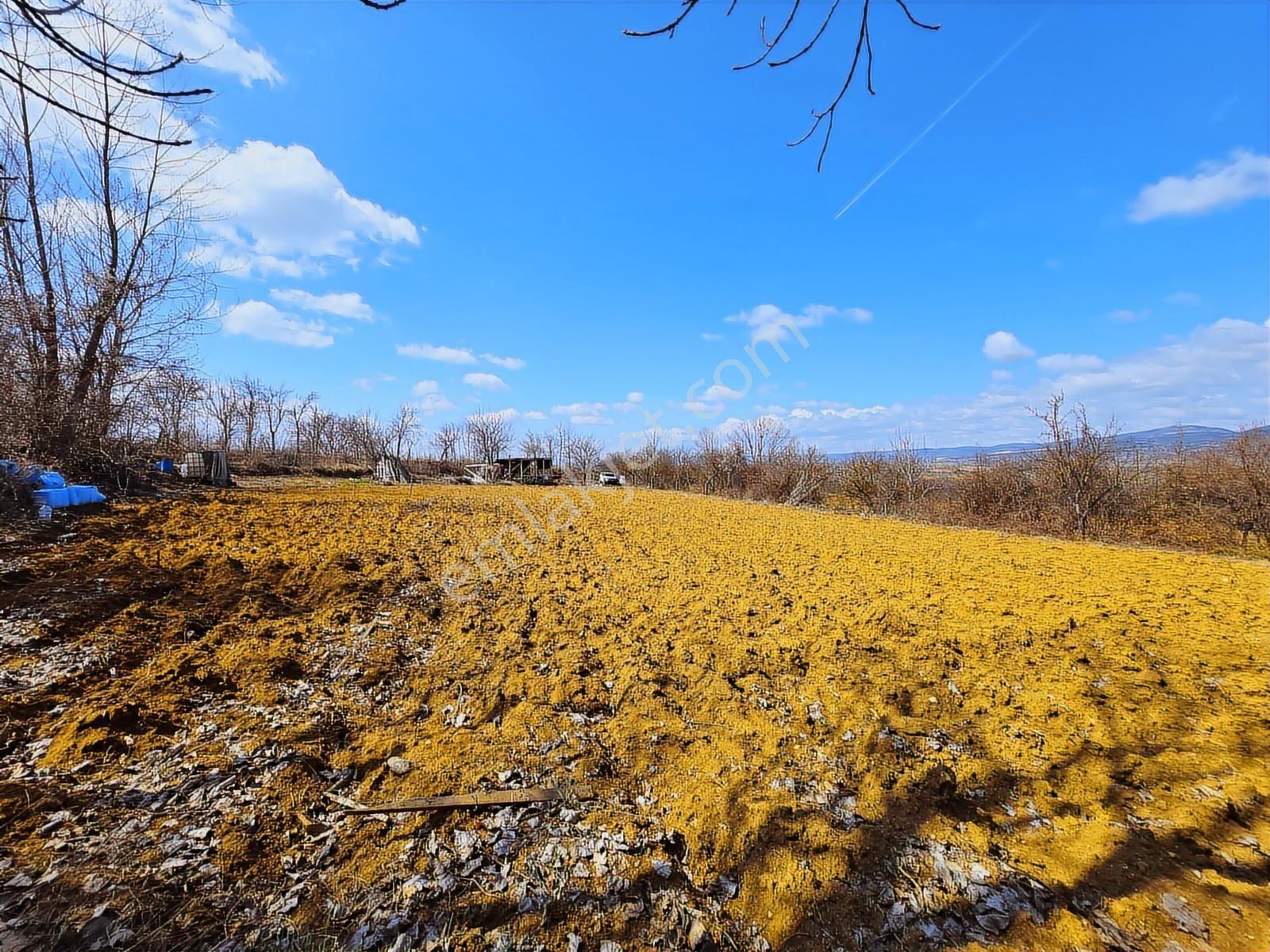 █ Garanti Emlak'tan, Şehrin Dibinde, Yola Cephe 1.966 M² Bahçe █ - Görsel 23