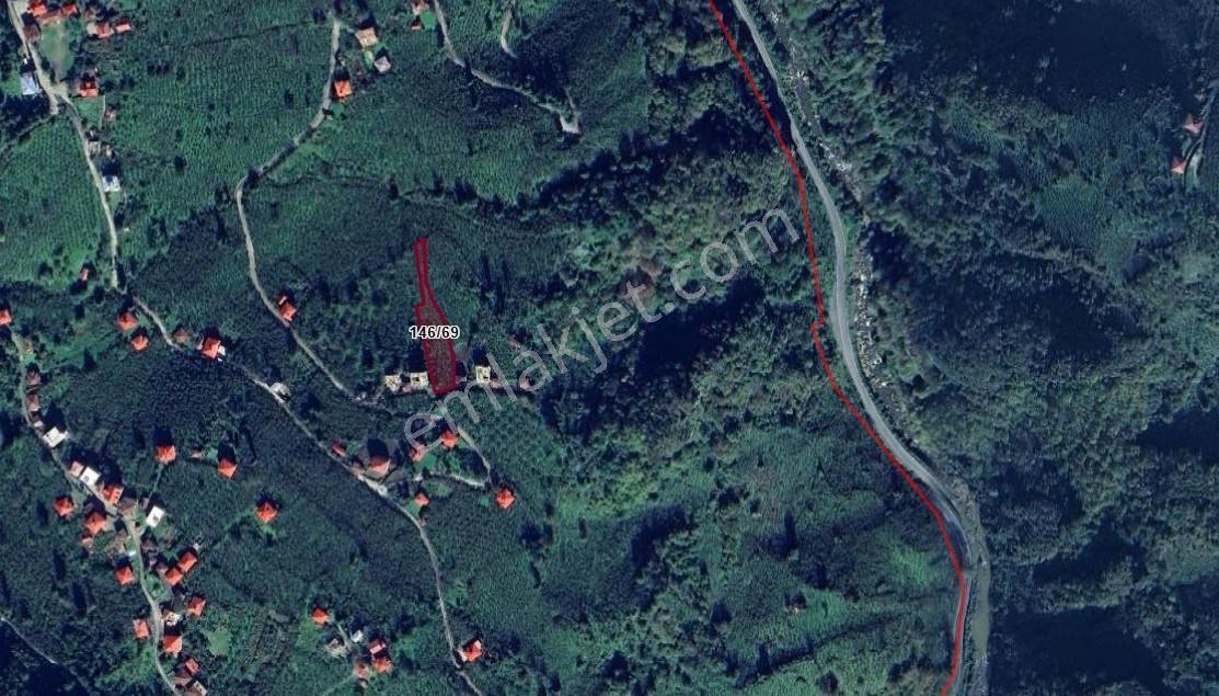 Vavien Emlak'tan Bahçeli Köyü İçerisinde Satılık Fındık Bahçesi - Görsel 6