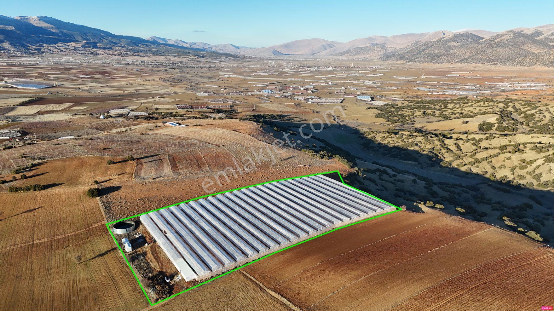 Antalya Elmalı Kocapınar'da Satılık Sera Ve Tarım Arazisi - Görsel 4