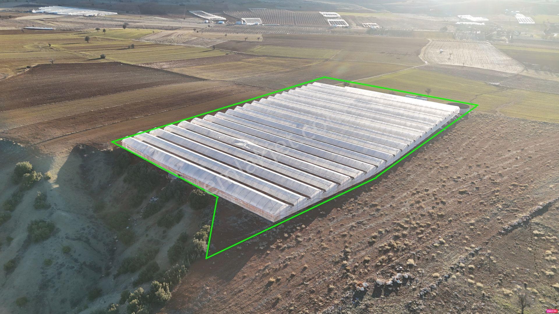 Antalya Elmalı Kocapınar'da Satılık Sera Ve Tarım Arazisi - Görsel 13