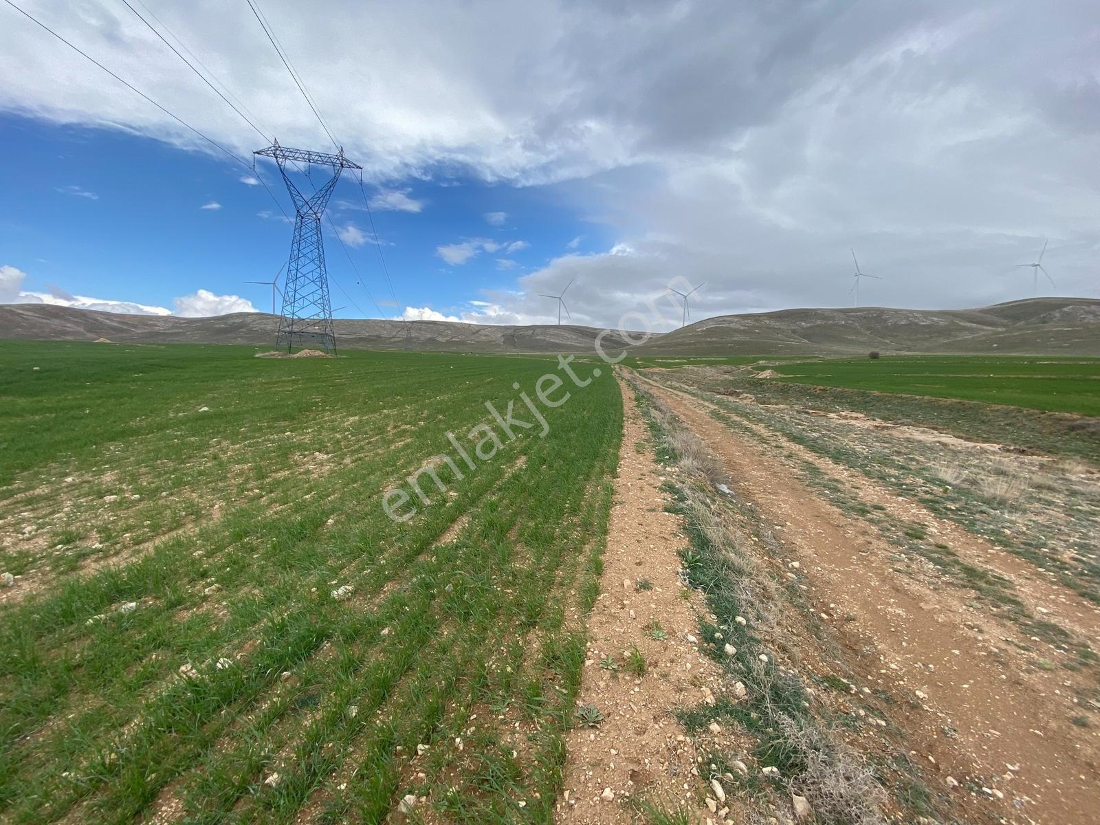 Meydanda 32 Bin M2 Satılık Tarla - Görsel 3