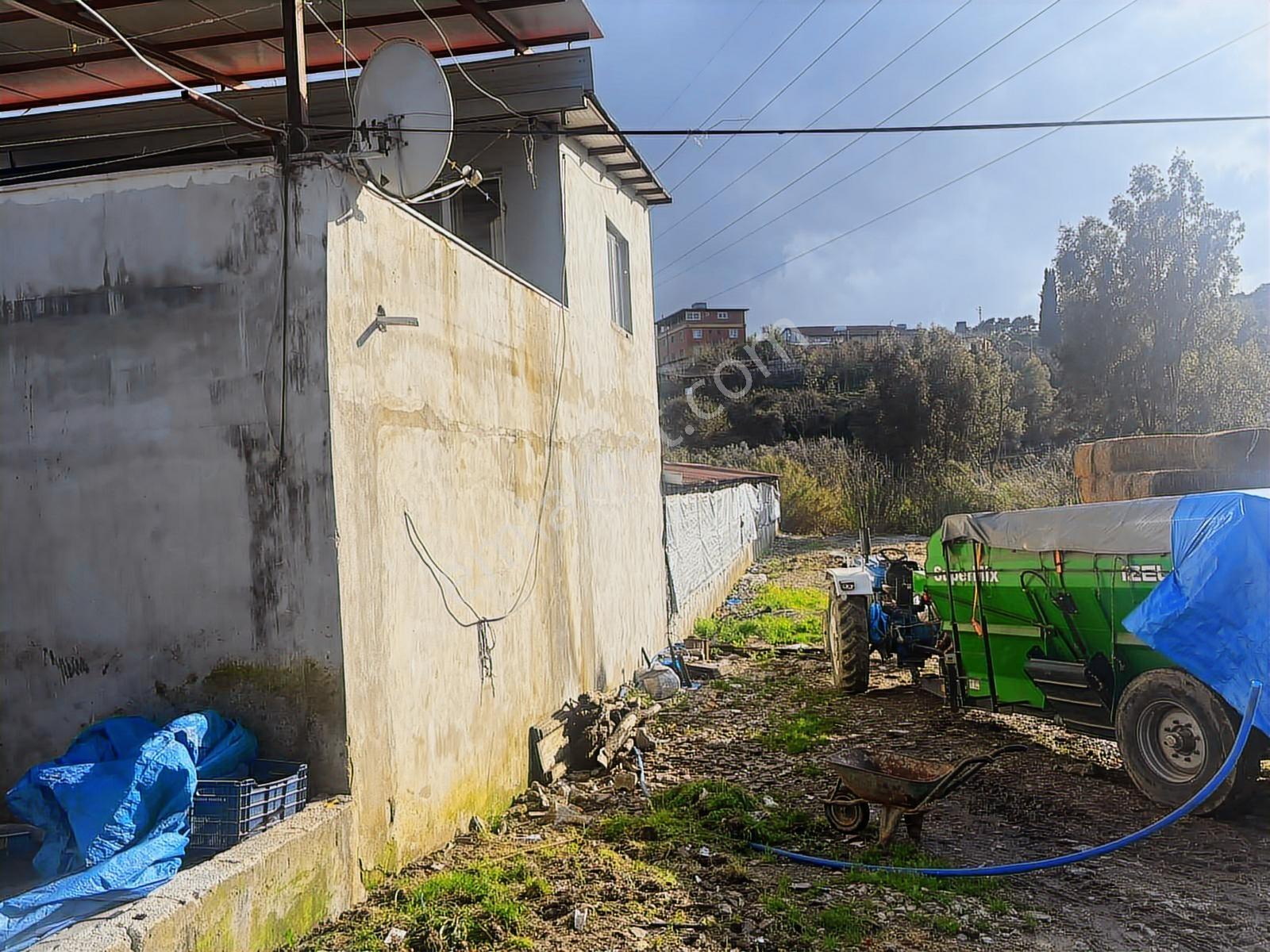 Oflaz Emlaktan Satılık 1.5 Dönüm Tek Tapu Tarla - Görsel 9