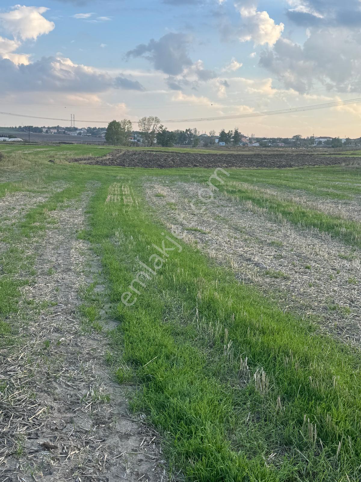 Saray Yuvalıda Yatırımlık Hiselli 402 M2 Bağ Yeri - Görsel 4