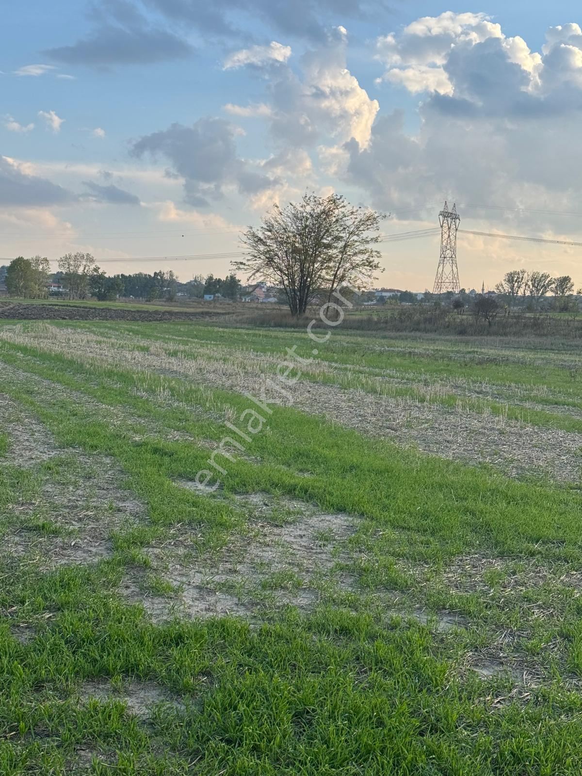 Saray Yuvalıda Yatırımlık Hiselli 402 M2 Bağ Yeri - Görsel 6