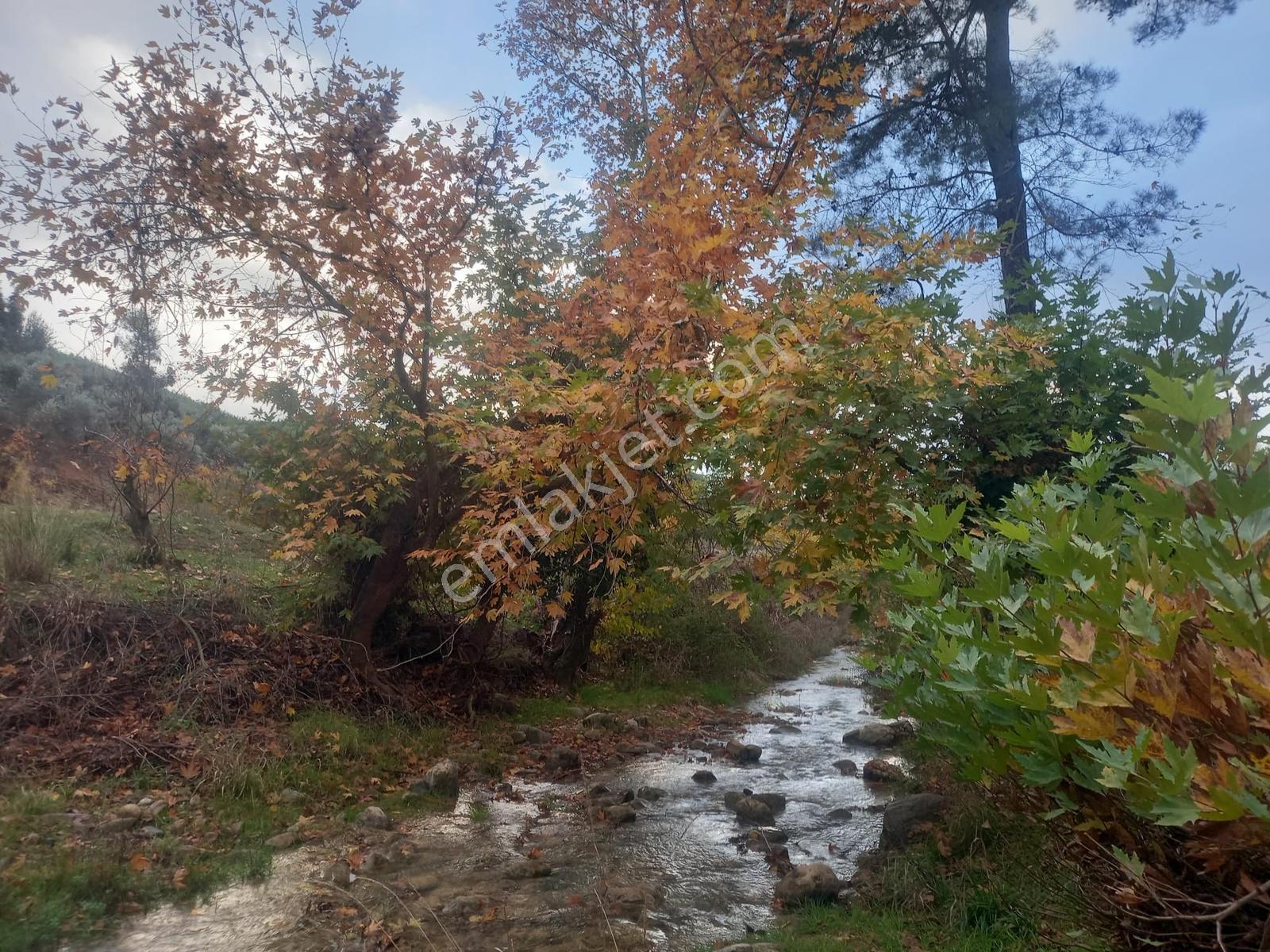 Yatağan Alaşar'da Satılık Elektrik Su Mevcut 2485 M² Tarla - Görsel 5