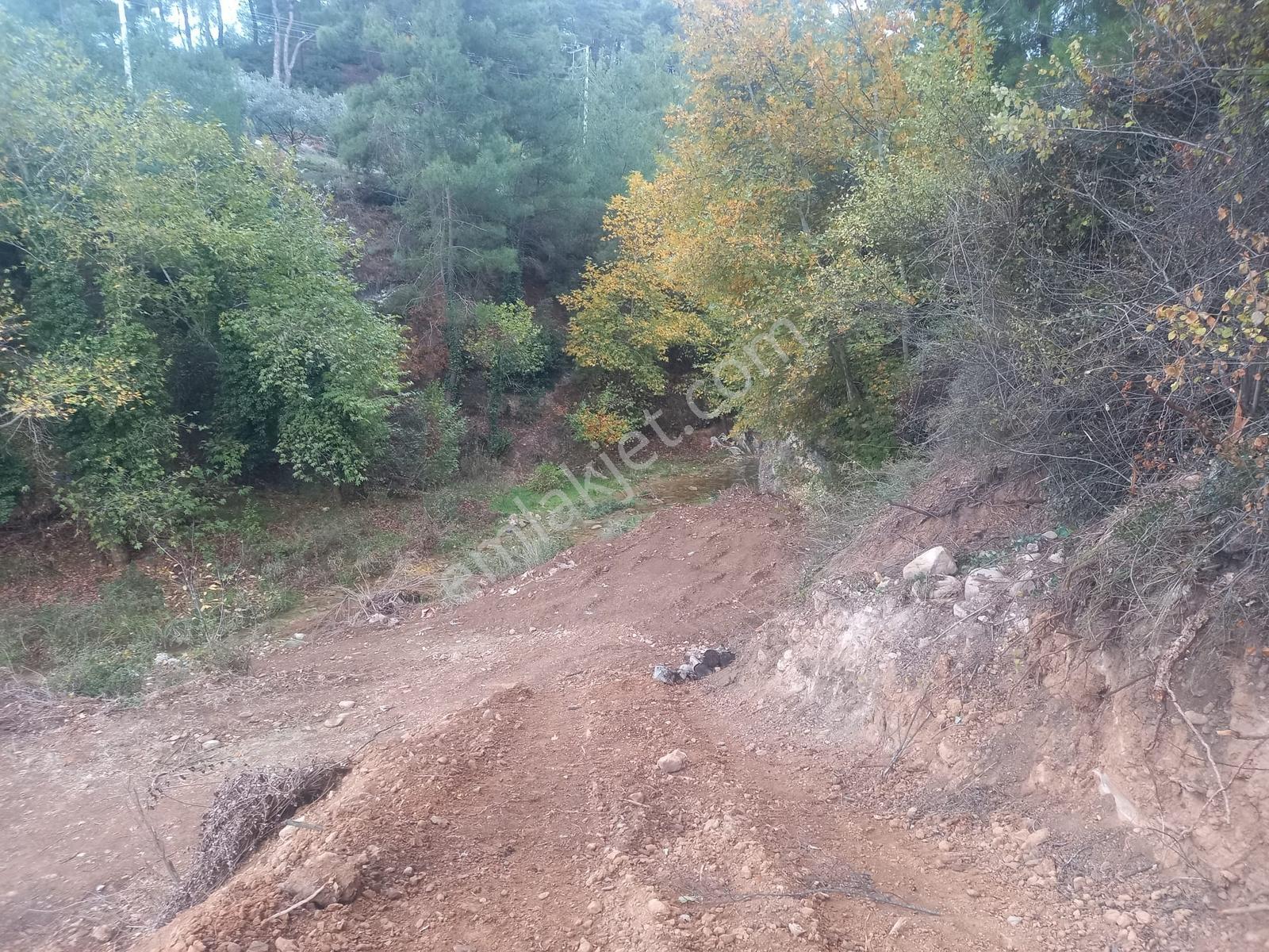 Yatağan Alaşar'da Satılık Elektrik Su Mevcut 2485 M² Tarla - Görsel 17