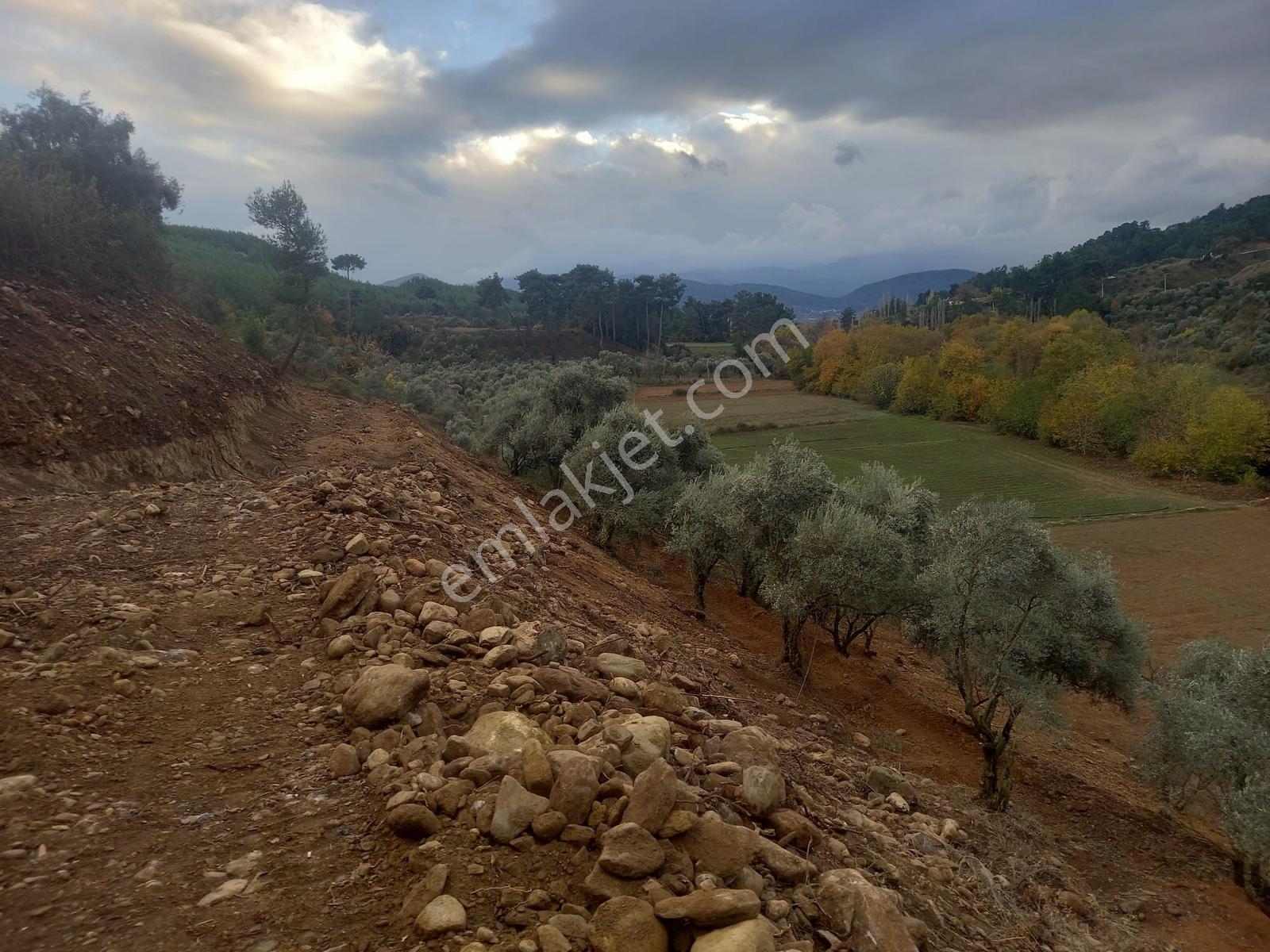 Yatağan Alaşar'da Satılık Elektrik Su Mevcut 2485 M² Tarla - Görsel 25