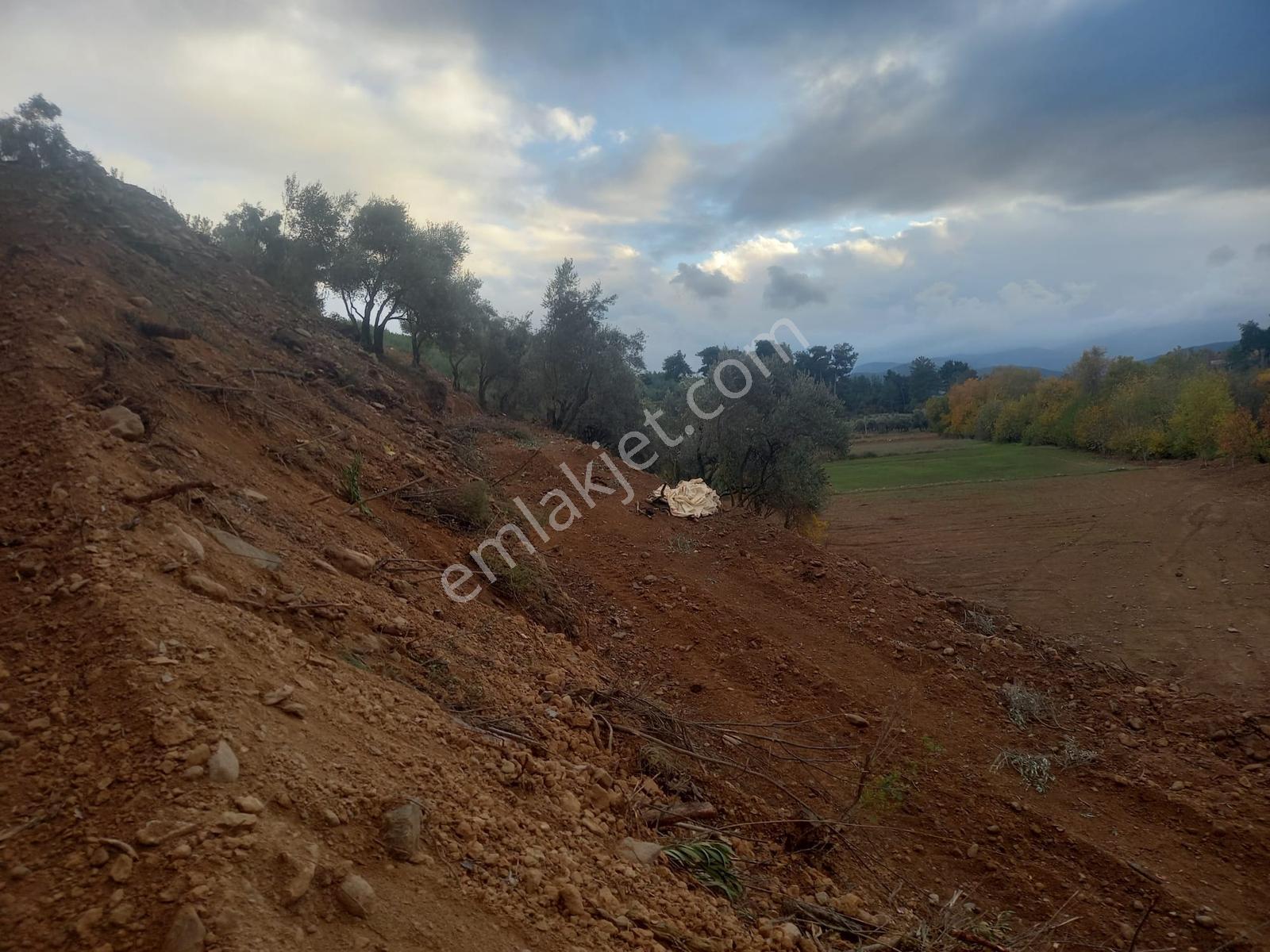 Yatağan Alaşar'da Satılık Elektrik Su Mevcut 2485 M² Tarla - Görsel 28