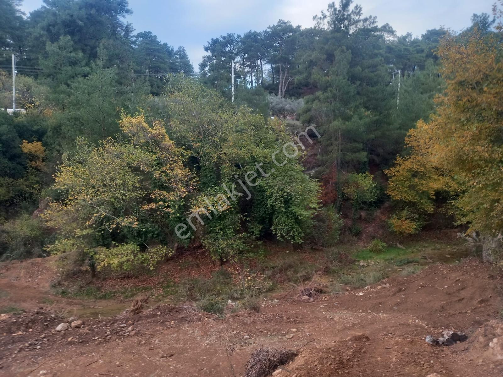 Yatağan Alaşar'da Satılık Elektrik Su Mevcut 2485 M² Tarla - Görsel 11