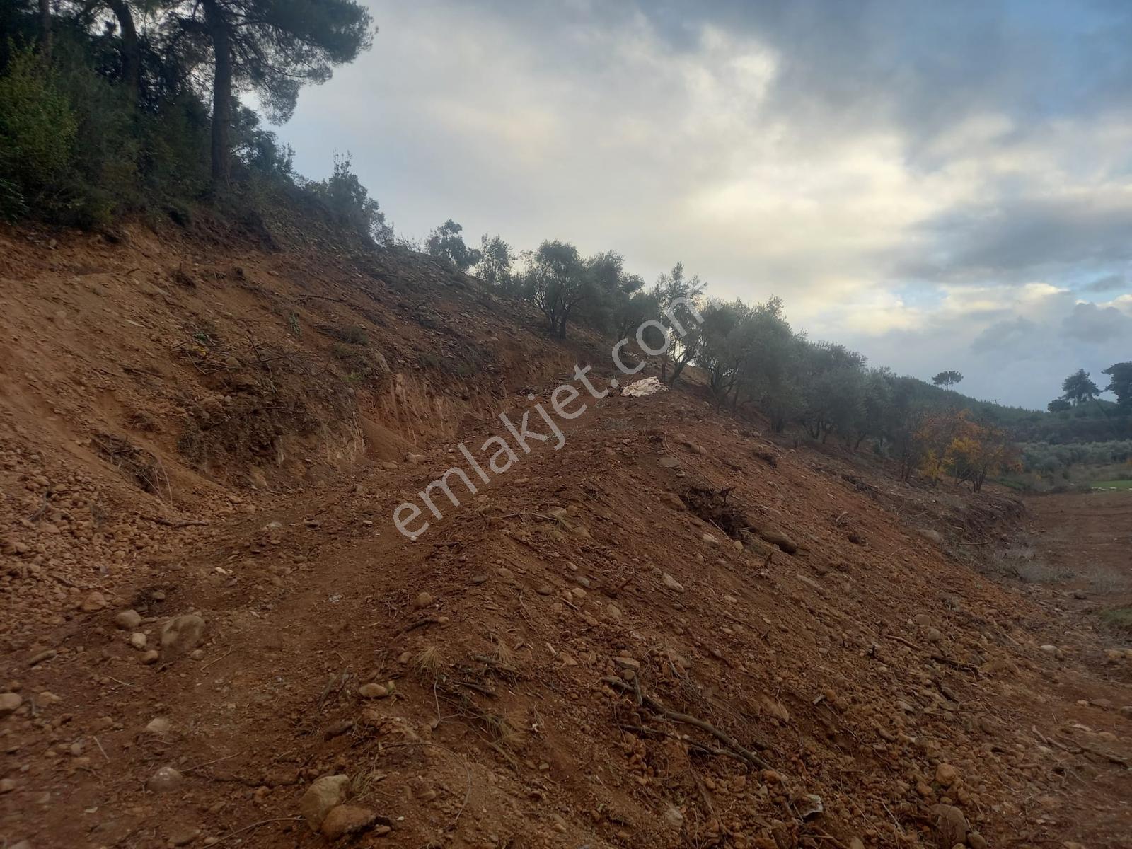 Yatağan Alaşar'da Satılık Elektrik Su Mevcut 2485 M² Tarla - Görsel 6