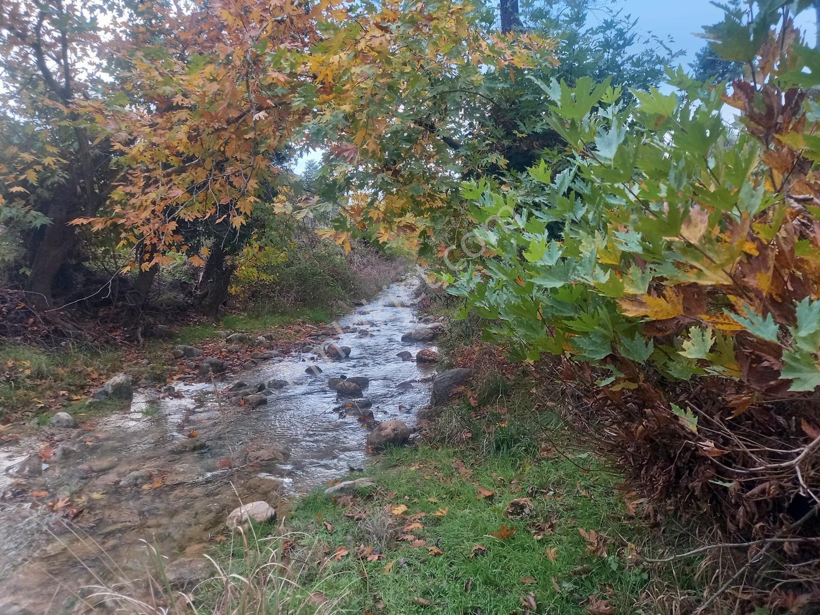 Yatağan Alaşar'da Satılık Elektrik Su Mevcut 2485 M² Tarla - Görsel 7