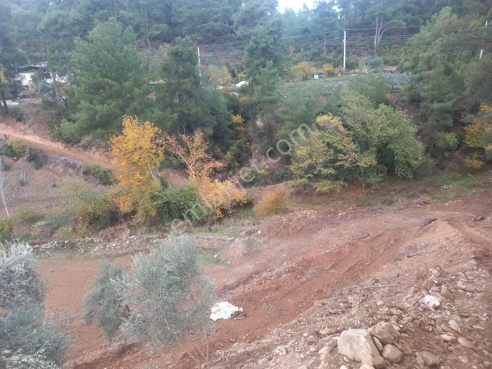 Yatağan Alaşar'da Satılık Elektrik Su Mevcut 2485 M² Tarla - Görsel 18
