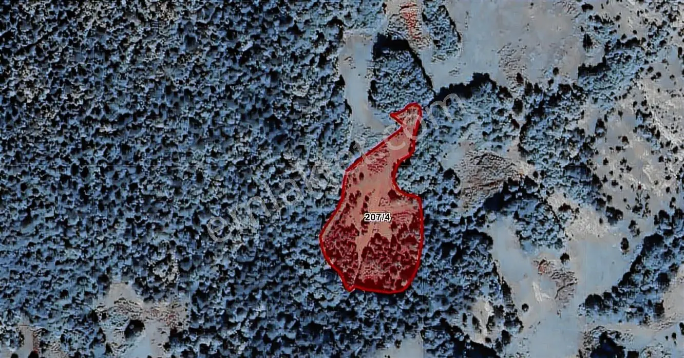 Samsun Alaçam Demircideresi Köyü'nde 5542 M2 Satılık Tarla - Görsel 5