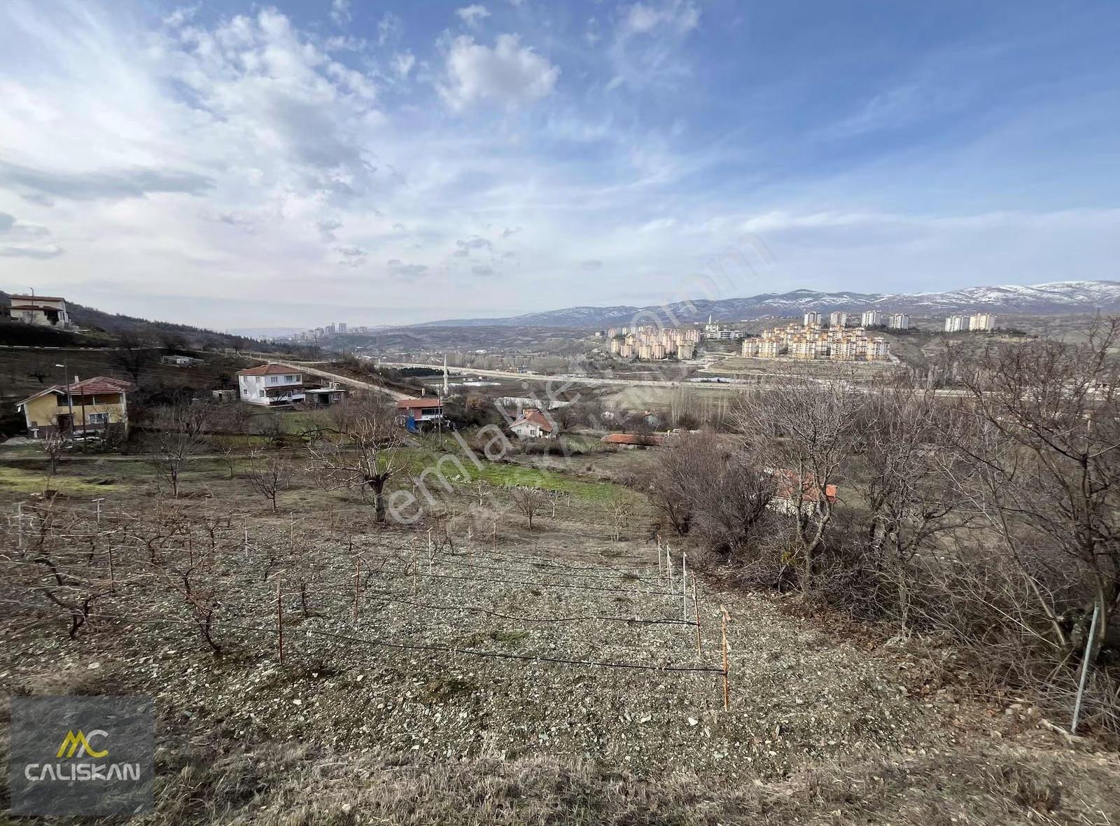 Toki Karşısı Satılık Bağ Ve Bağ Evi - Görsel 29