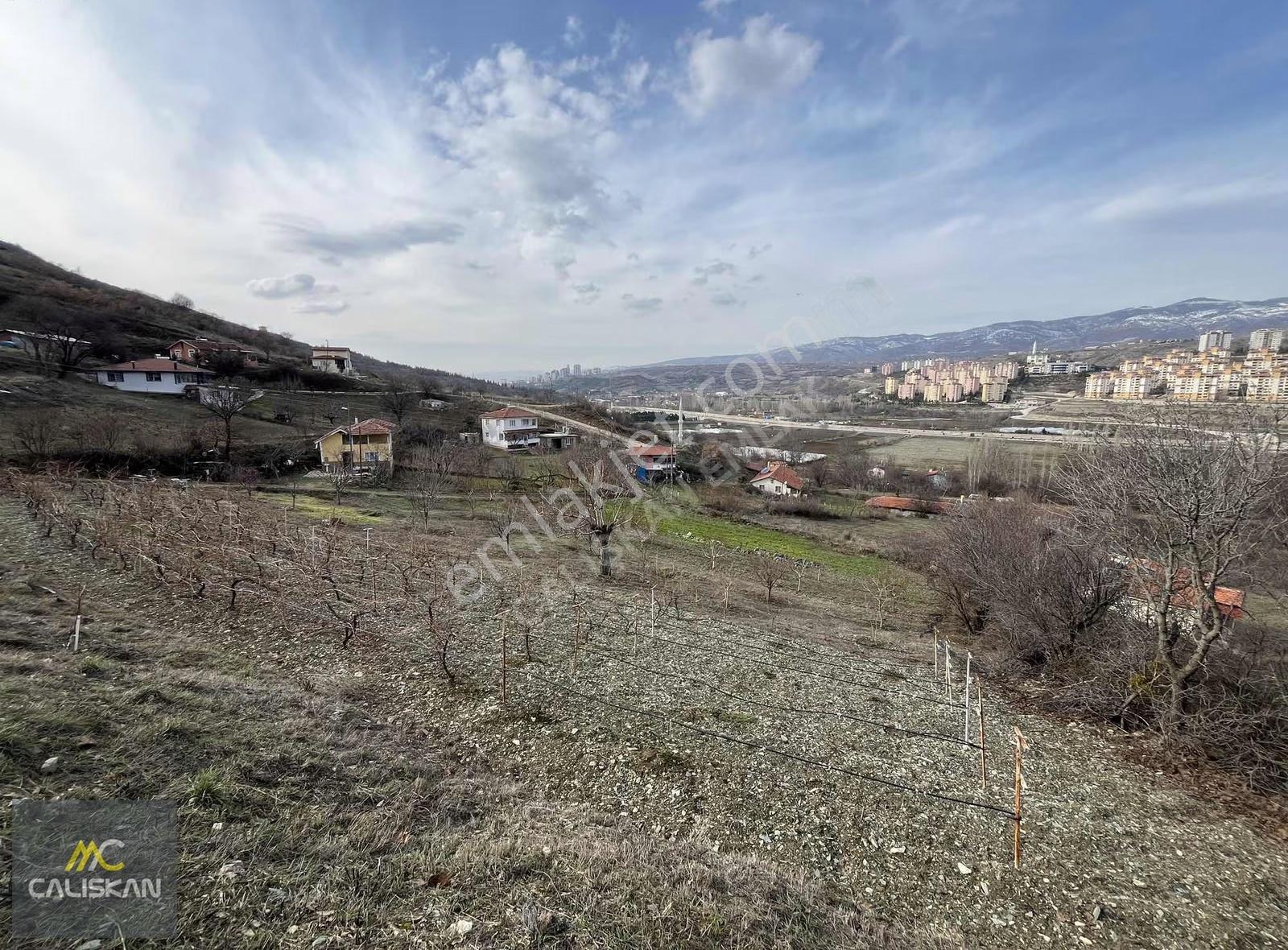 Toki Karşısı Satılık Bağ Ve Bağ Evi - Görsel 30