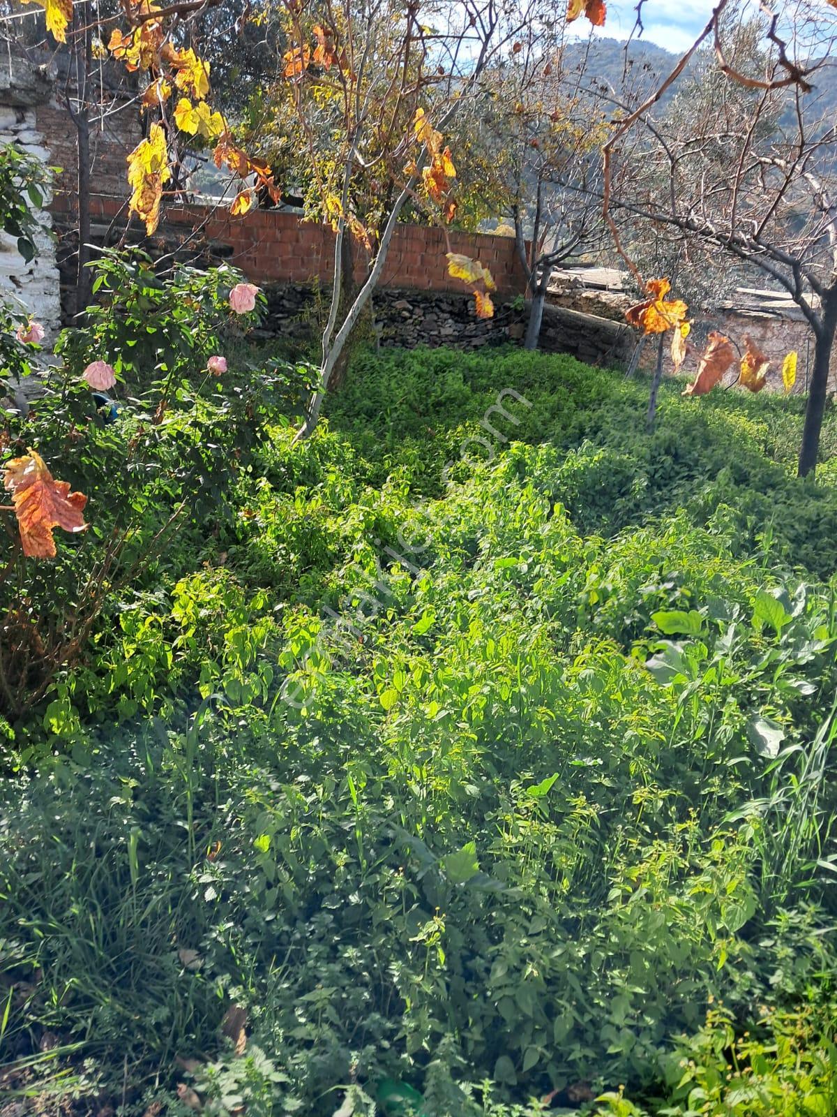 Aydın Çine Elderesi 297 M2 Arsa İçinde Müstakil Ev - Görsel 10