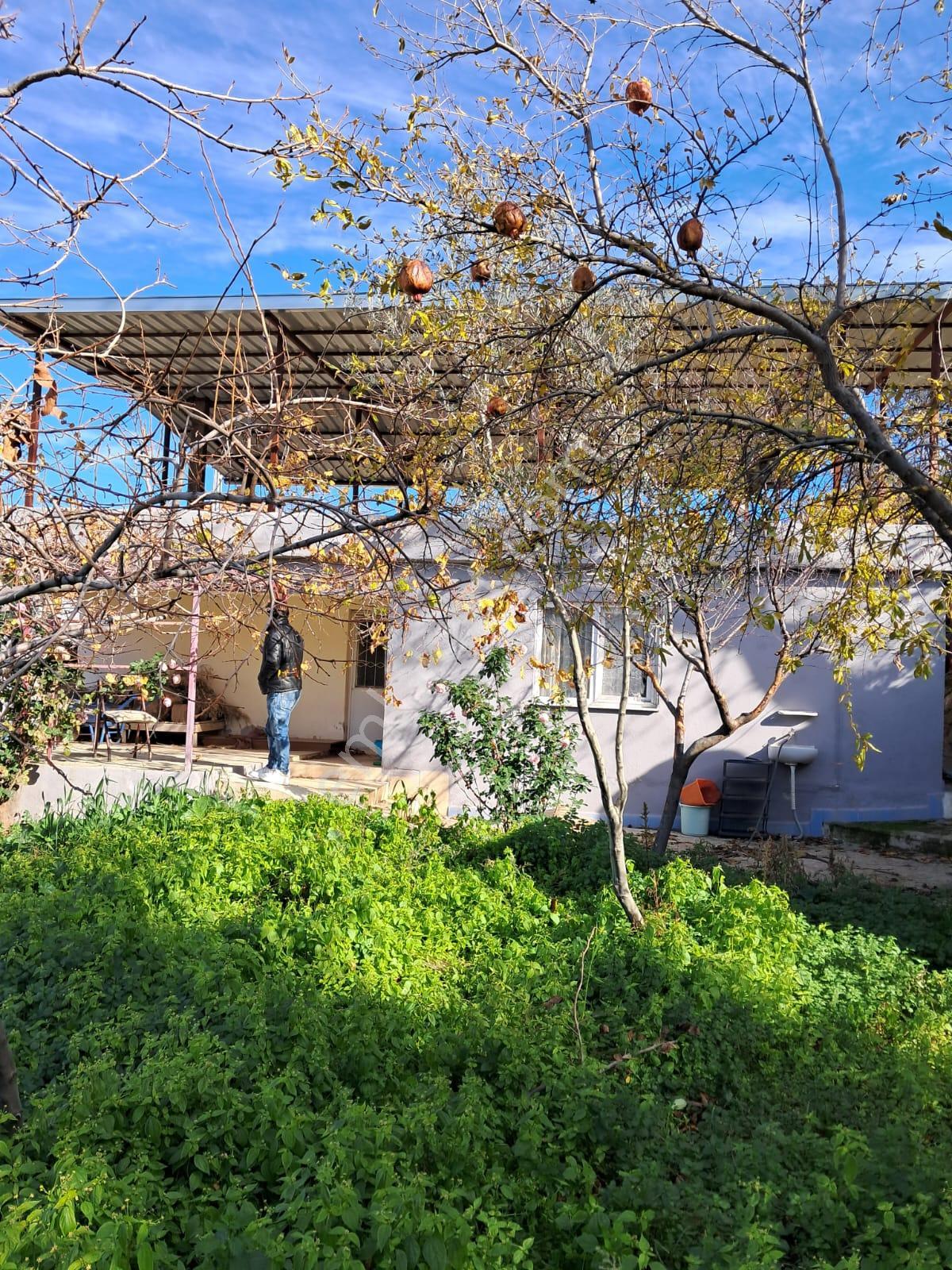 Aydın Çine Elderesi 297 M2 Arsa İçinde Müstakil Ev - Görsel 18