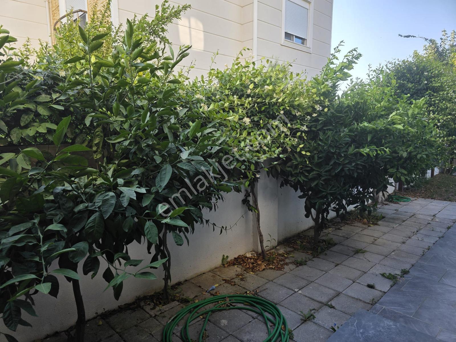 Villa Aston 4+1 Özel Havuzlu Villa - Görsel 12