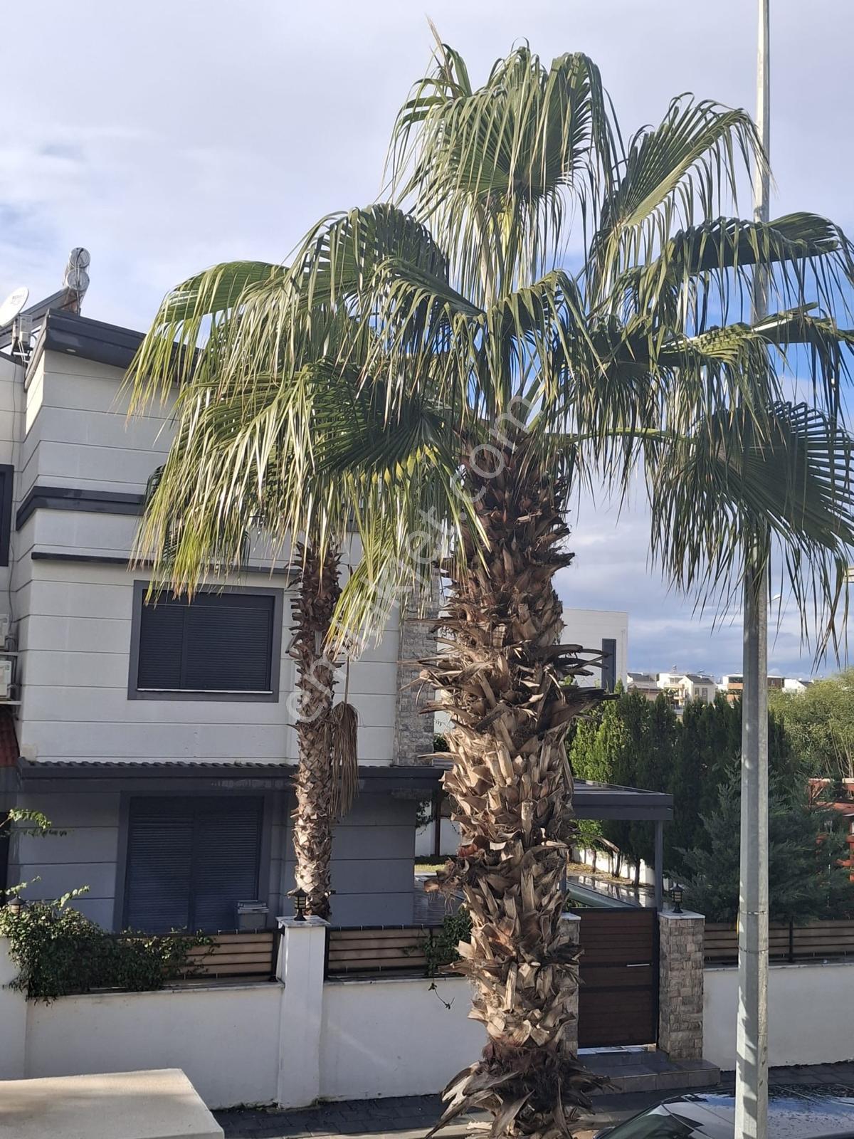 Villa Aston 4+1 Özel Havuzlu Villa - Görsel 10