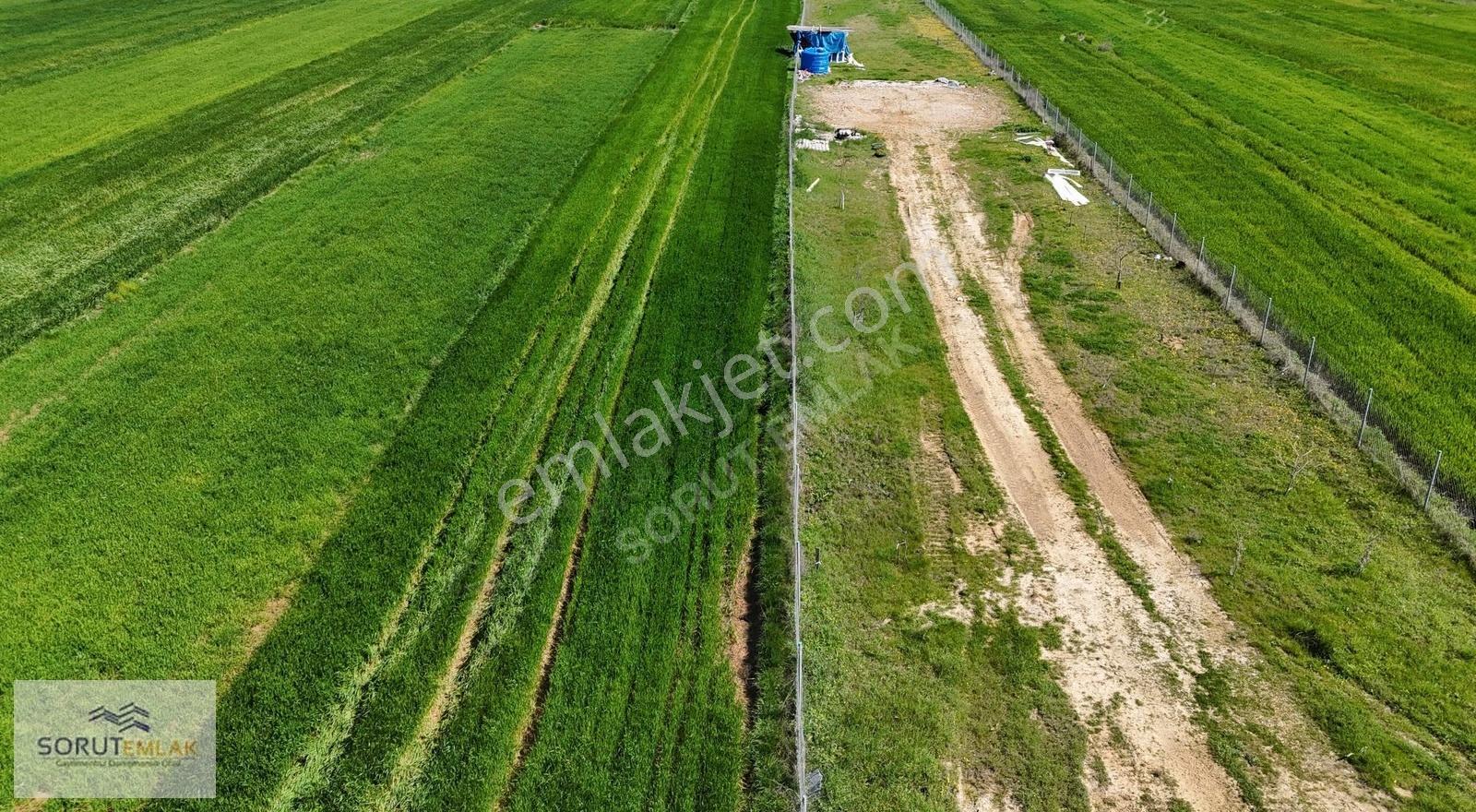Mecidiye Köy Girişinde Ana Yola Cepheli 1660 M² Satılık Tarla - Görsel 25