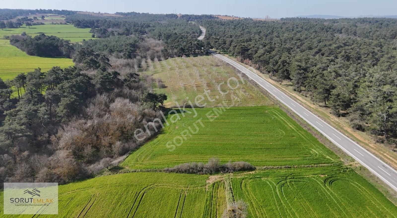 Ana Yola Cepheli, Orman Manzaralı 5764m² Yatırımlık Tarla - Görsel 12