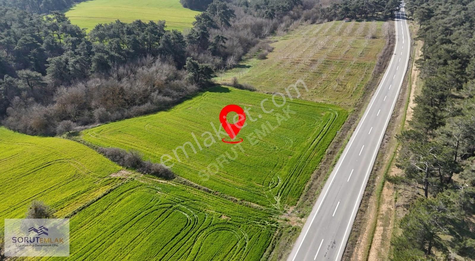 Ana Yola Cepheli, Orman Manzaralı 5764m² Yatırımlık Tarla