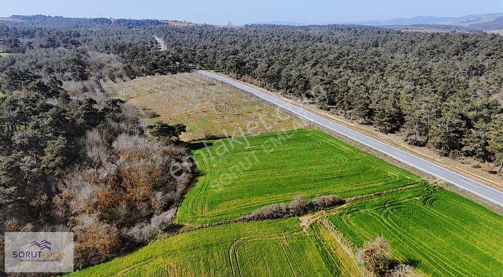 Ana Yola Cepheli, Orman Manzaralı 5764m² Yatırımlık Tarla - Görsel 21