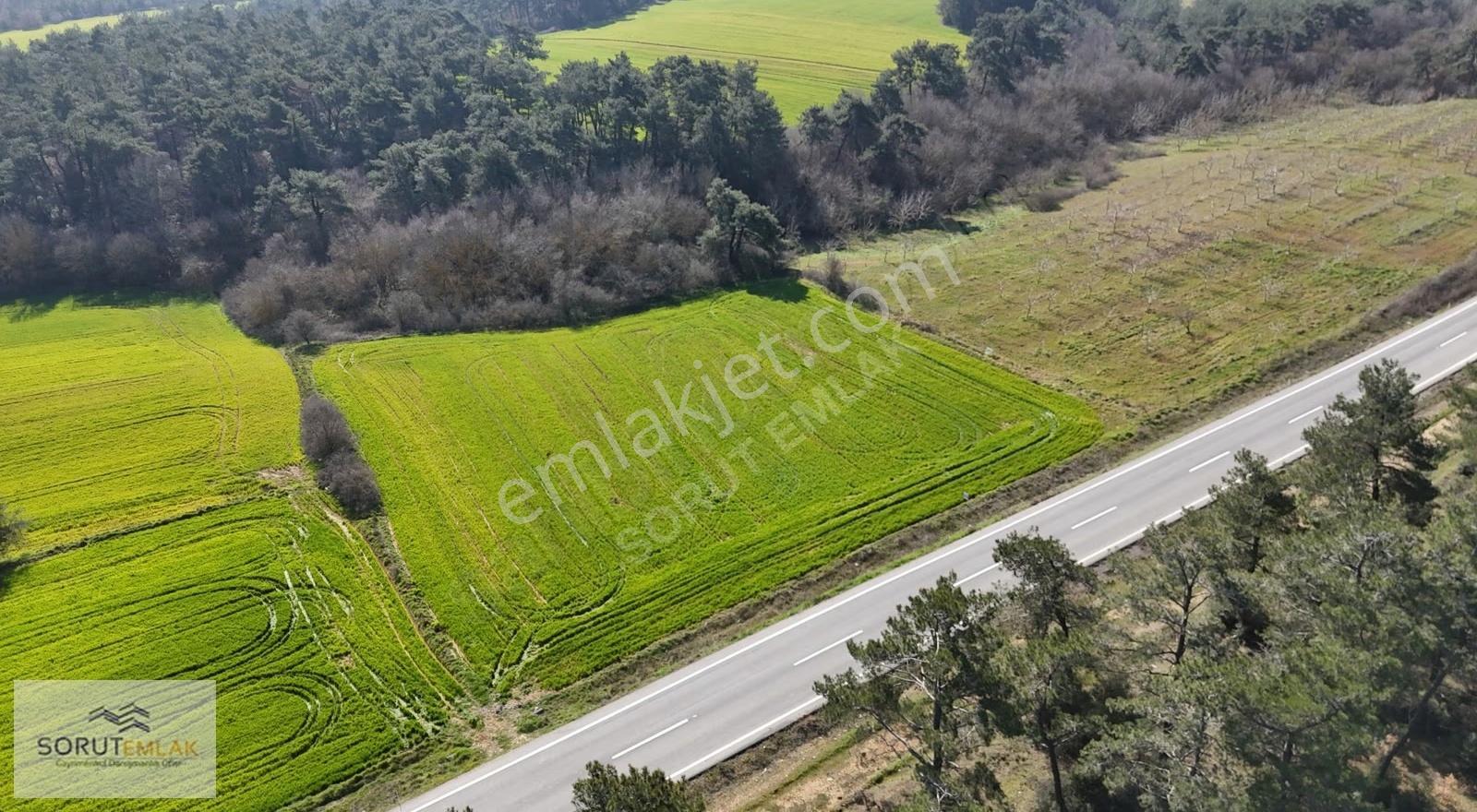 Ana Yola Cepheli, Orman Manzaralı 5764m² Yatırımlık Tarla - Görsel 13