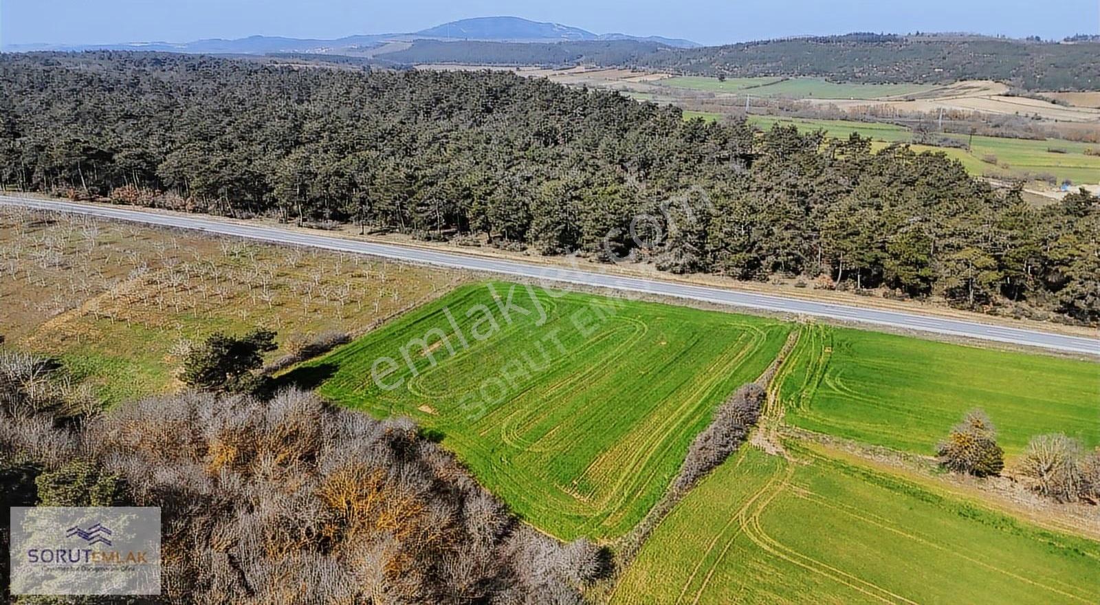 Ana Yola Cepheli, Orman Manzaralı 5764m² Yatırımlık Tarla - Görsel 4