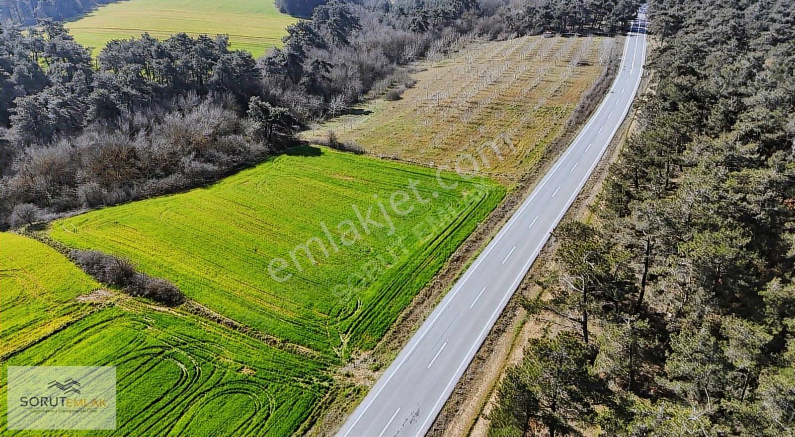 Ana Yola Cepheli, Orman Manzaralı 5764m² Yatırımlık Tarla - Görsel 17