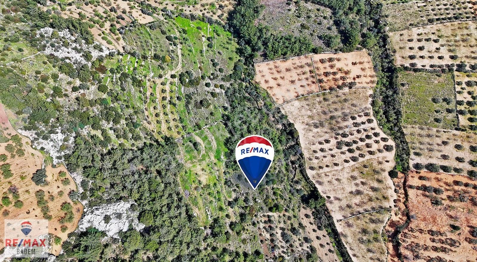 Datça Sındıda Manzaralı Tarla - Tıny House'a Uygun Yolu Var - Görsel 26