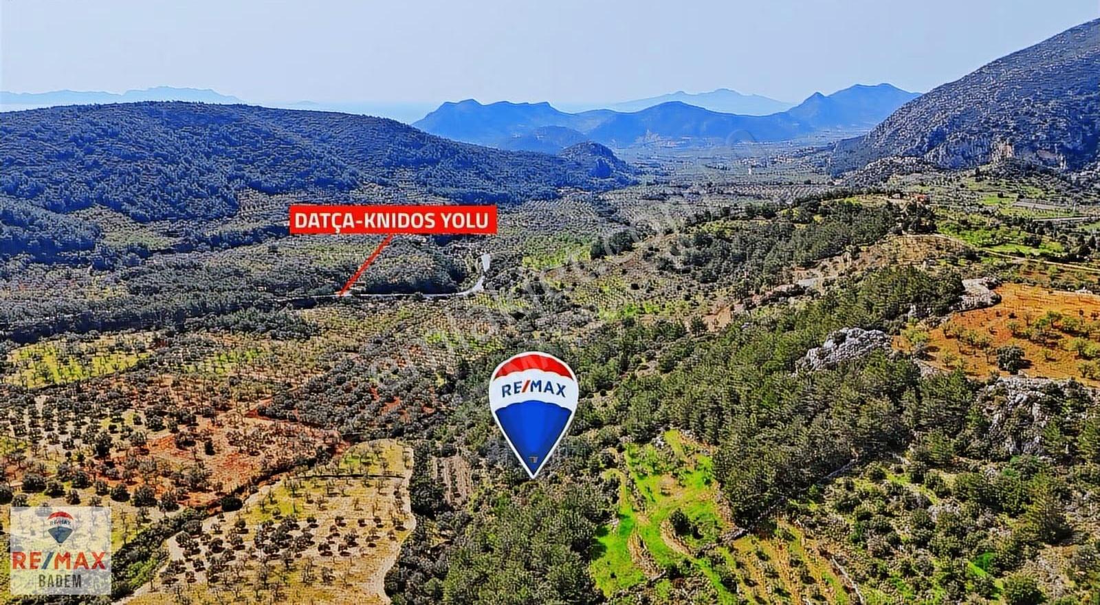 Datça Sındıda Manzaralı Tarla - Tıny House'a Uygun Yolu Var - Görsel 28