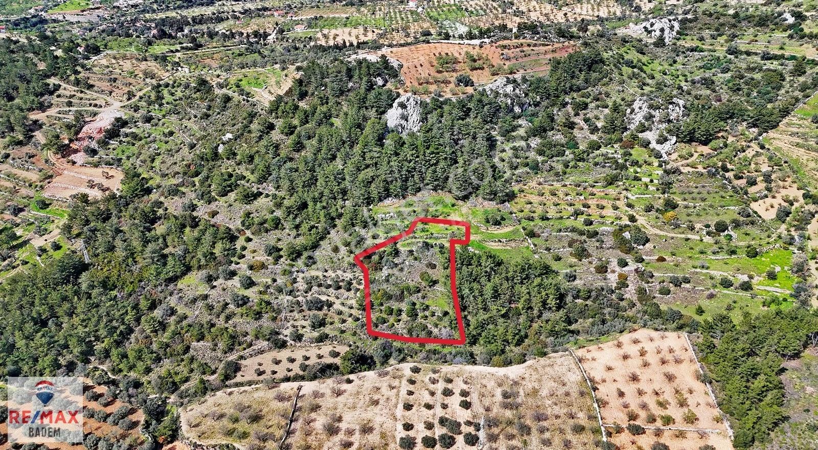 Datça Sındıda Manzaralı Tarla - Tıny House'a Uygun Yolu Var - Görsel 17