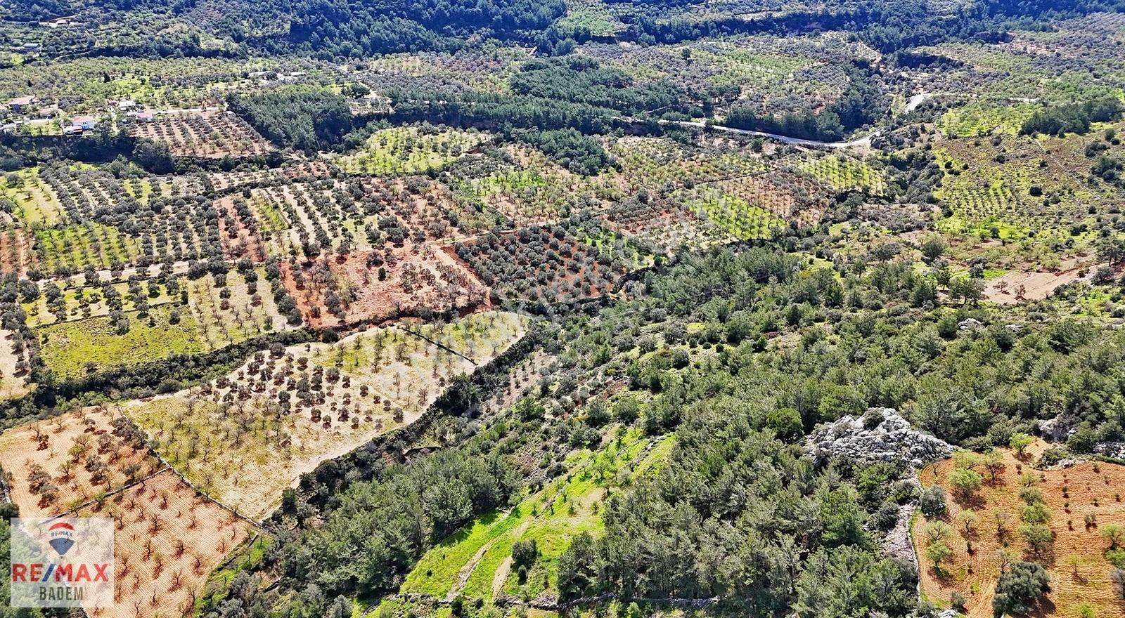 Datça Sındıda Manzaralı Tarla - Tıny House'a Uygun Yolu Var - Görsel 2