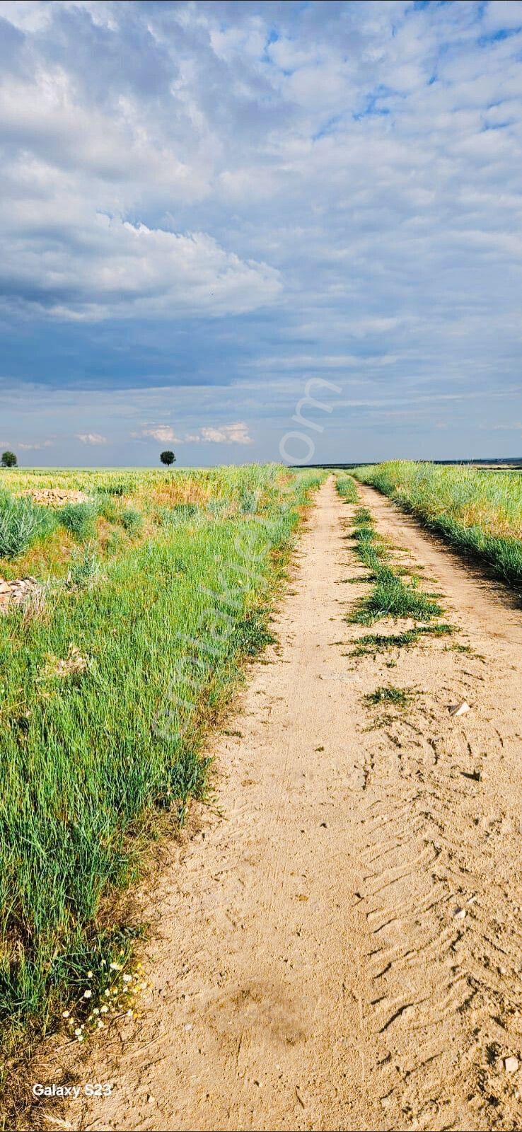 🔥 Edirne Süloğlu Tatarlar’da Resmi Yol Cepheli Yatırımlık Tarla! - Görsel 3