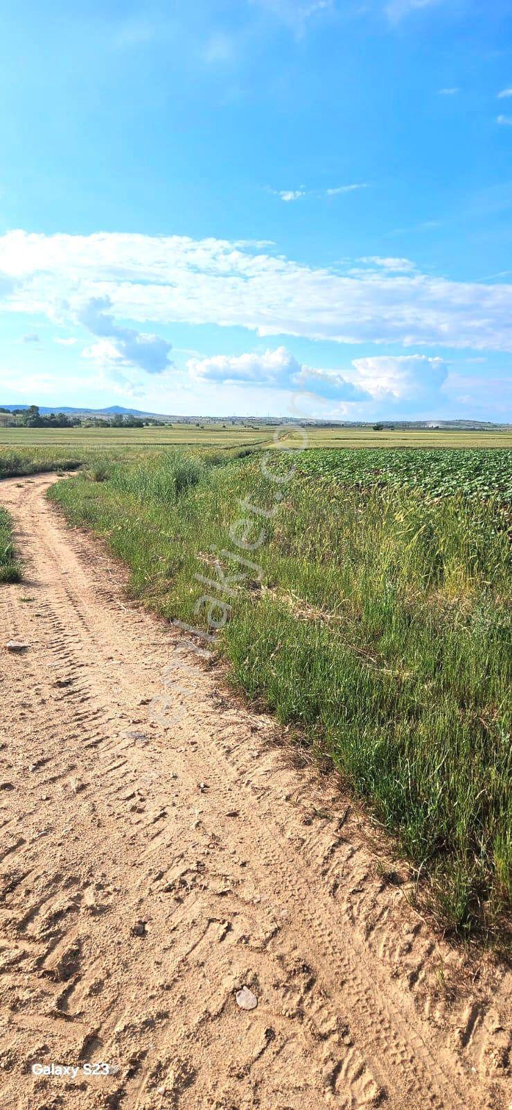 🔥 Edirne Süloğlu Tatarlar’da Resmi Yol Cepheli Yatırımlık Tarla! - Görsel 24