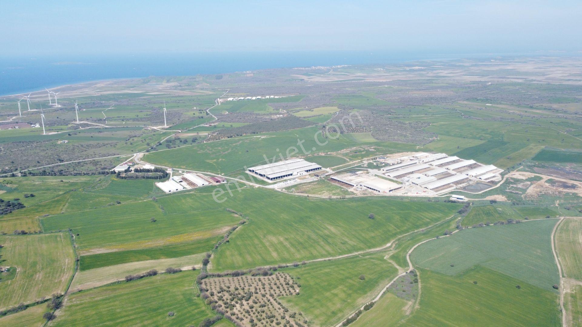 Çanakkale Ezine Üvecik Köyü'nde 216 Dönüm Tek Parça Tarla - Görsel 16