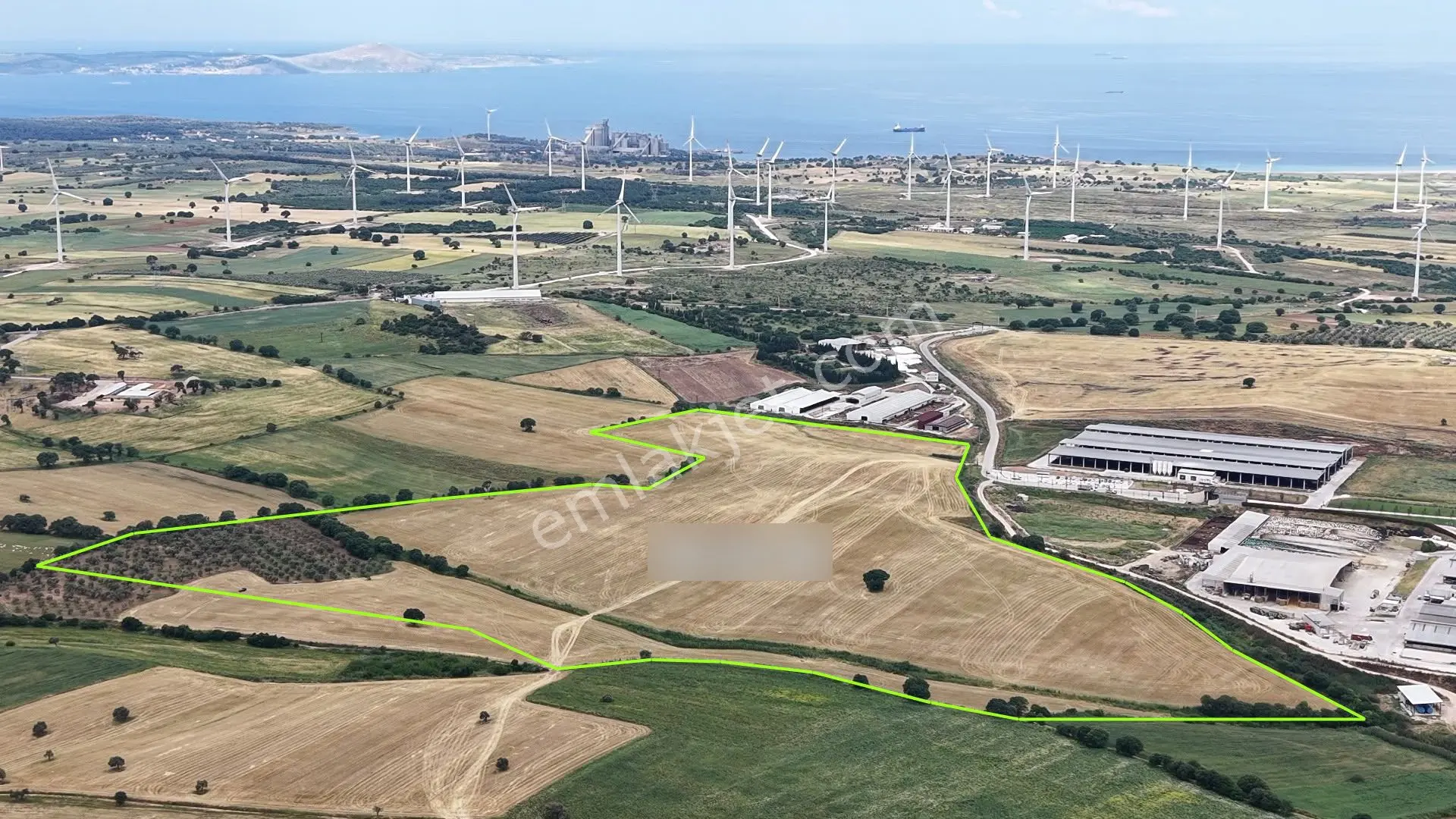Çanakkale Ezine Üvecik Köyü'nde 216 Dönüm Tek Parça Tarla - Görsel 4