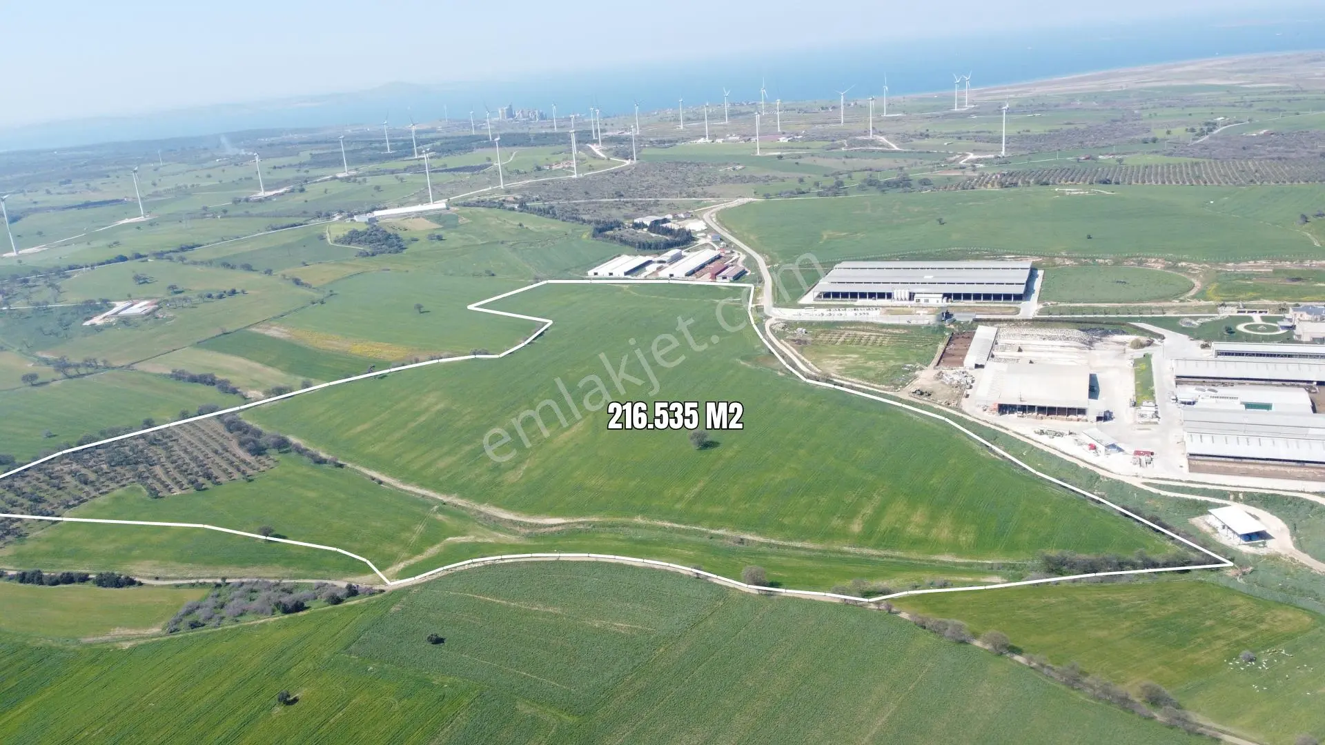 Çanakkale Ezine Üvecik Köyü'nde 216 Dönüm Tek Parça Tarla - Görsel 3