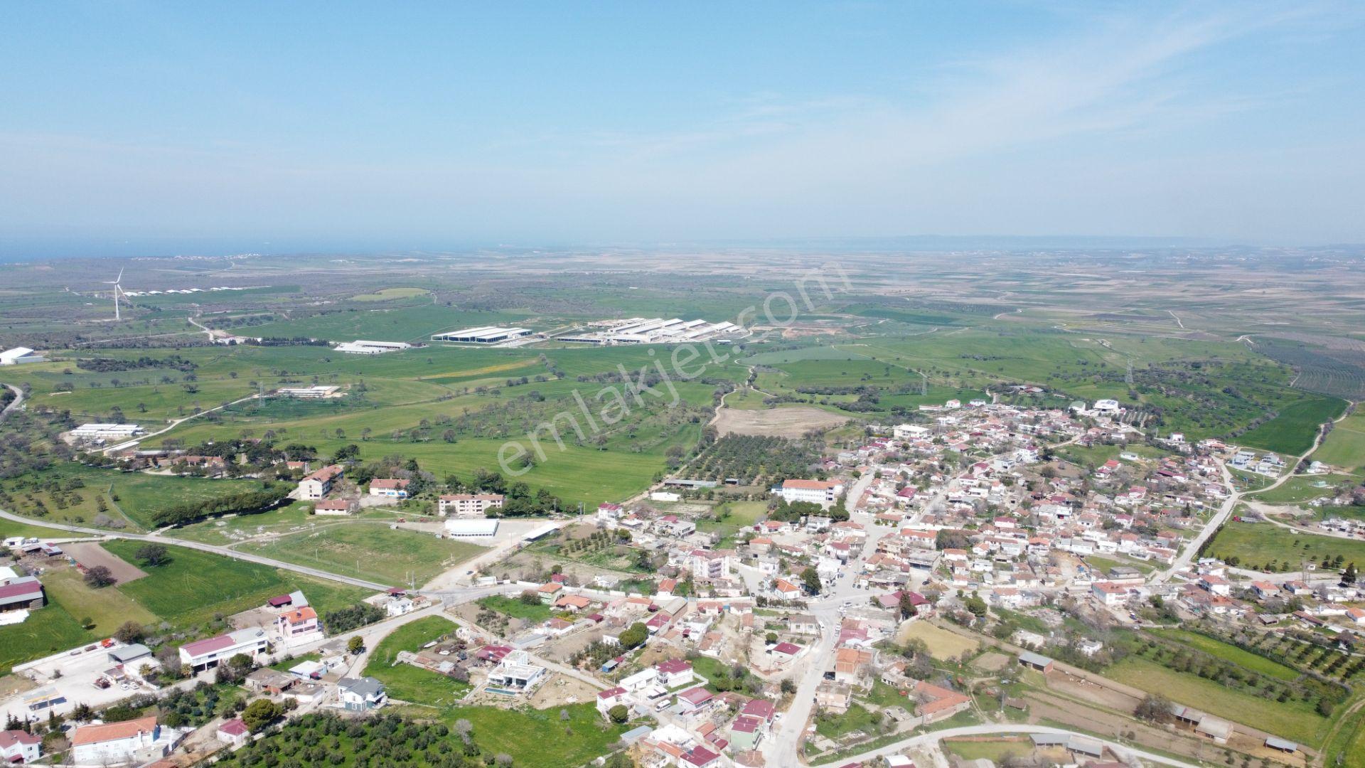 Çanakkale Ezine Üvecik Köyü'nde 216 Dönüm Tek Parça Tarla - Görsel 21